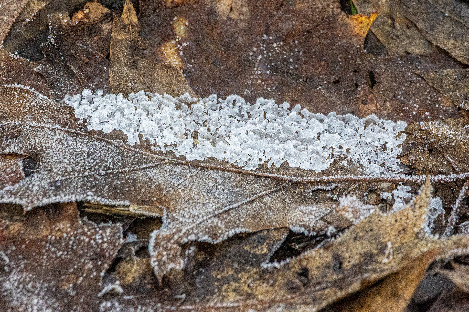 Platz 17 Herbst und Winter
