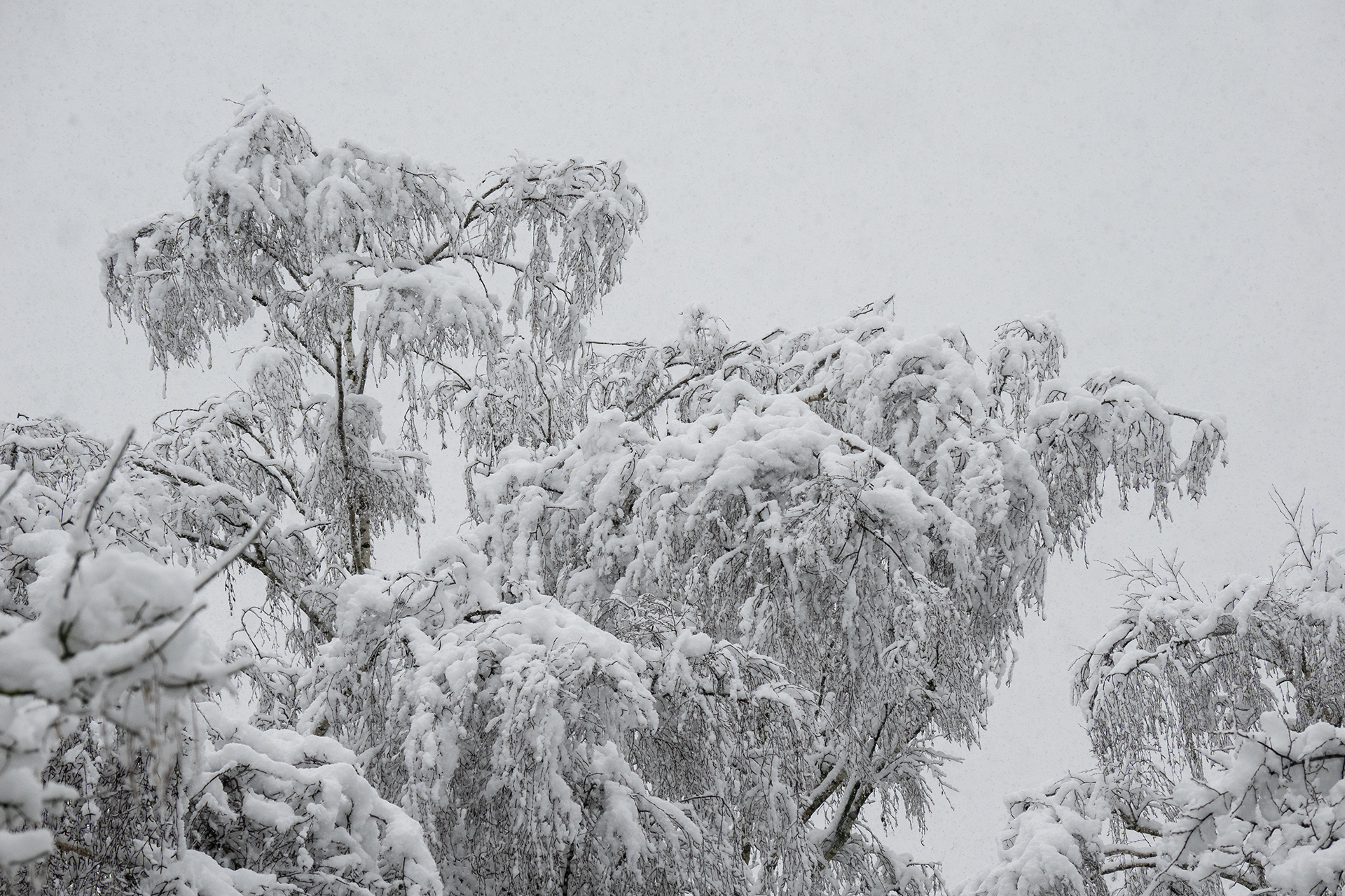 Platz 22 Schnee 2.jpg