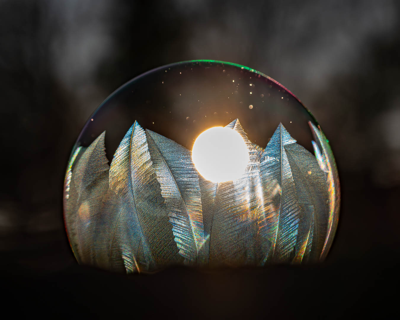 Platz 17 Seifenblasenmagie.jpg