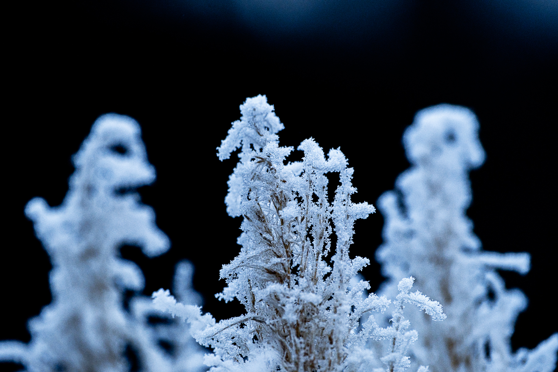 Platz 13 Was ist das.jpg