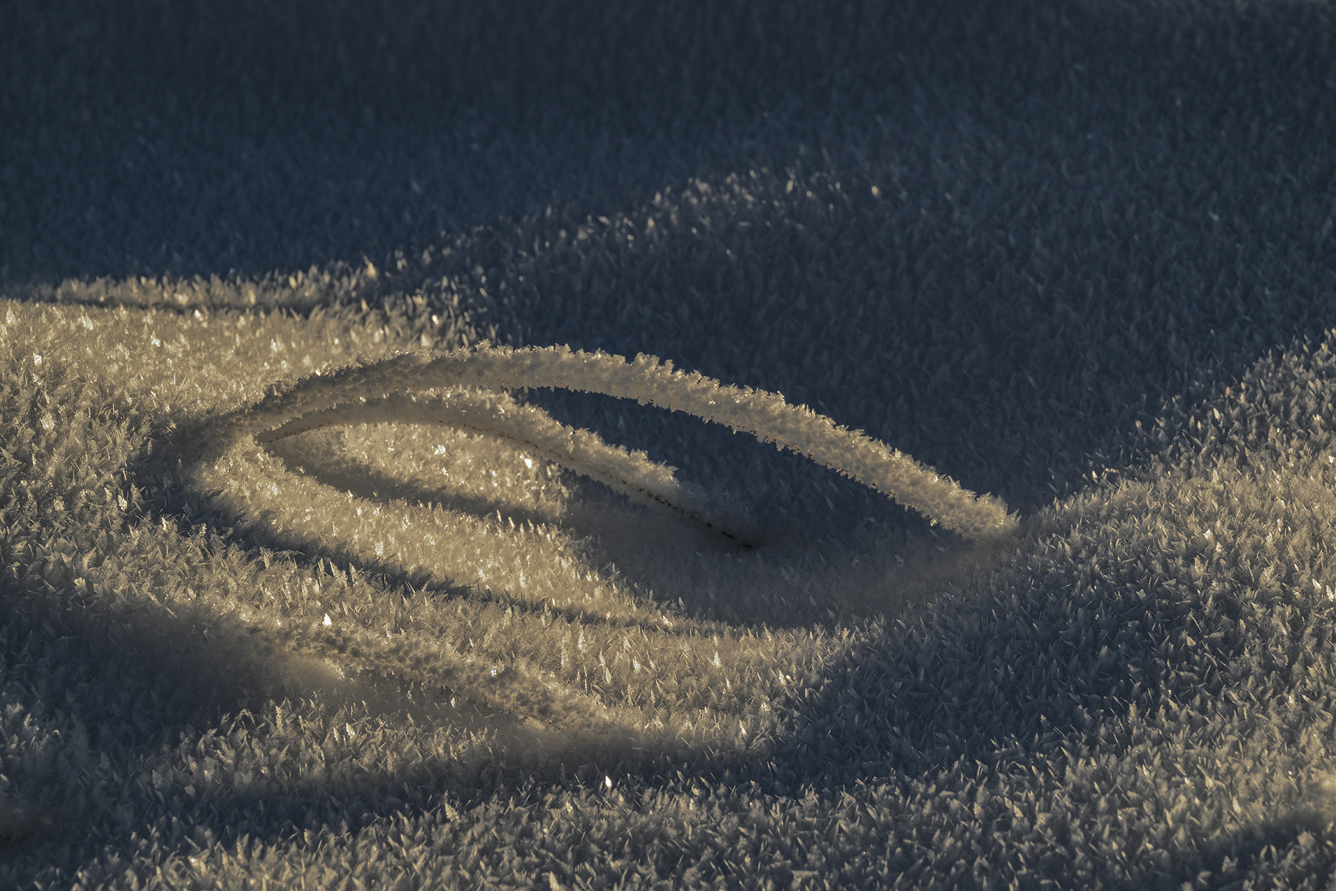 Februar 2025 - Winterliche Details