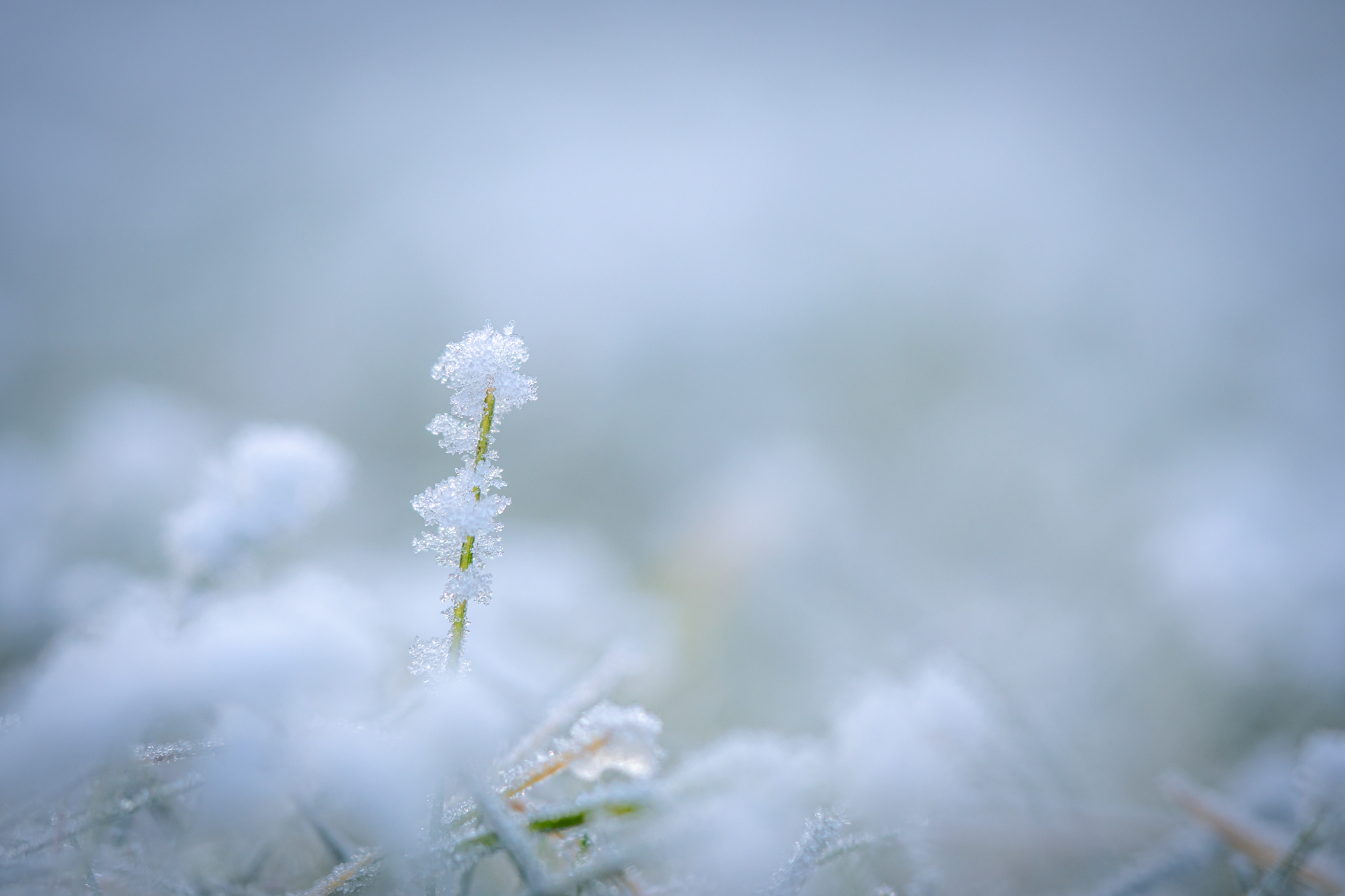 Platz 06 winter_details.jpg
