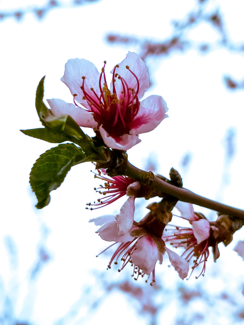 Platz 14 IMG_9002.JPG