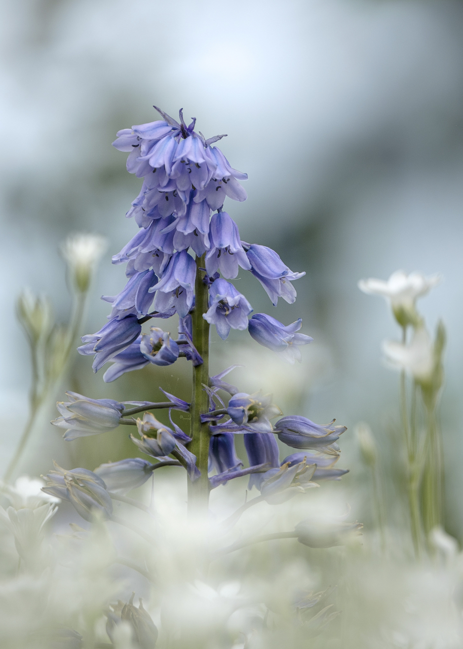 Platz 06 Wettbewerb Maerz I.jpg