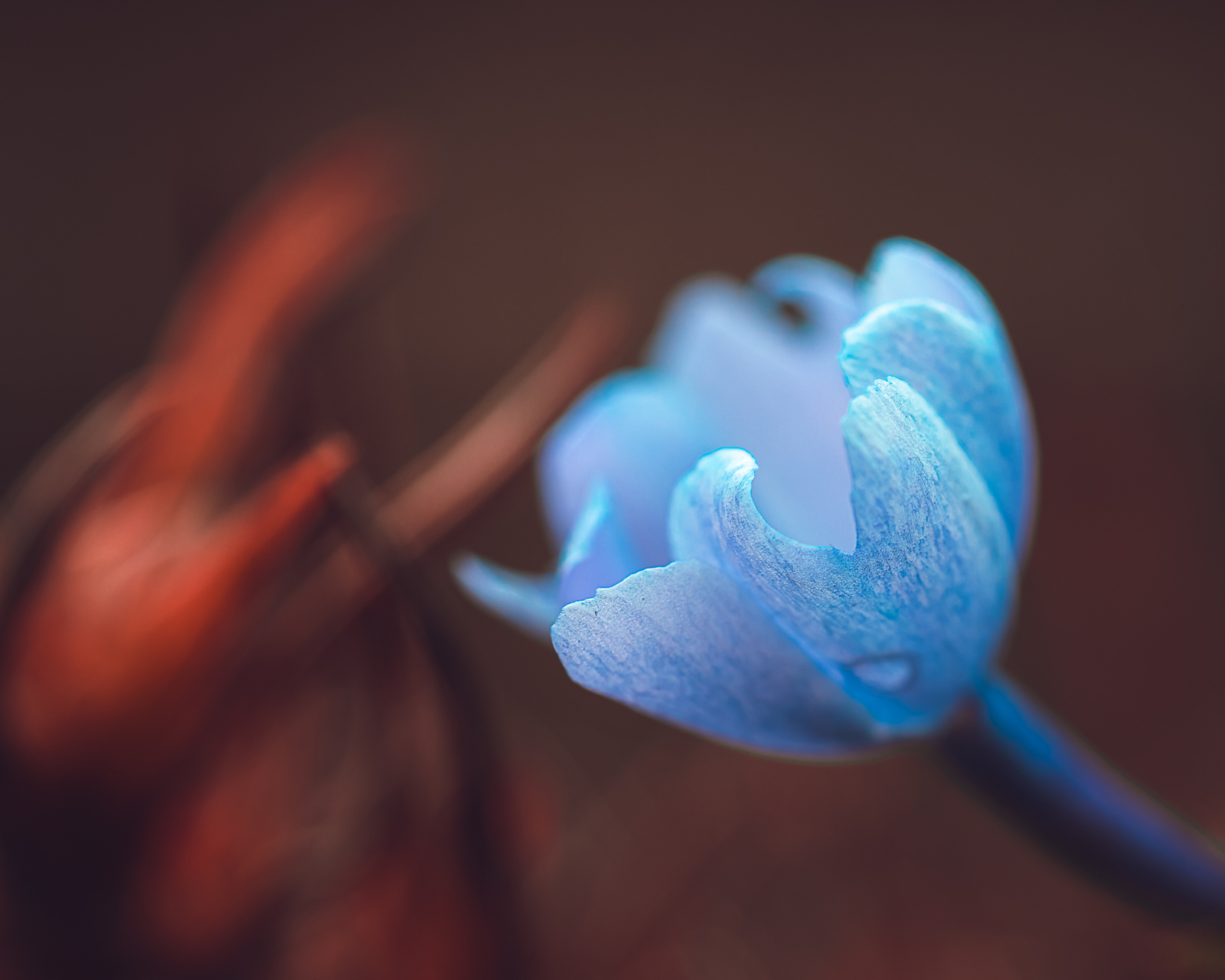 Platz 10 frühling2.jpg