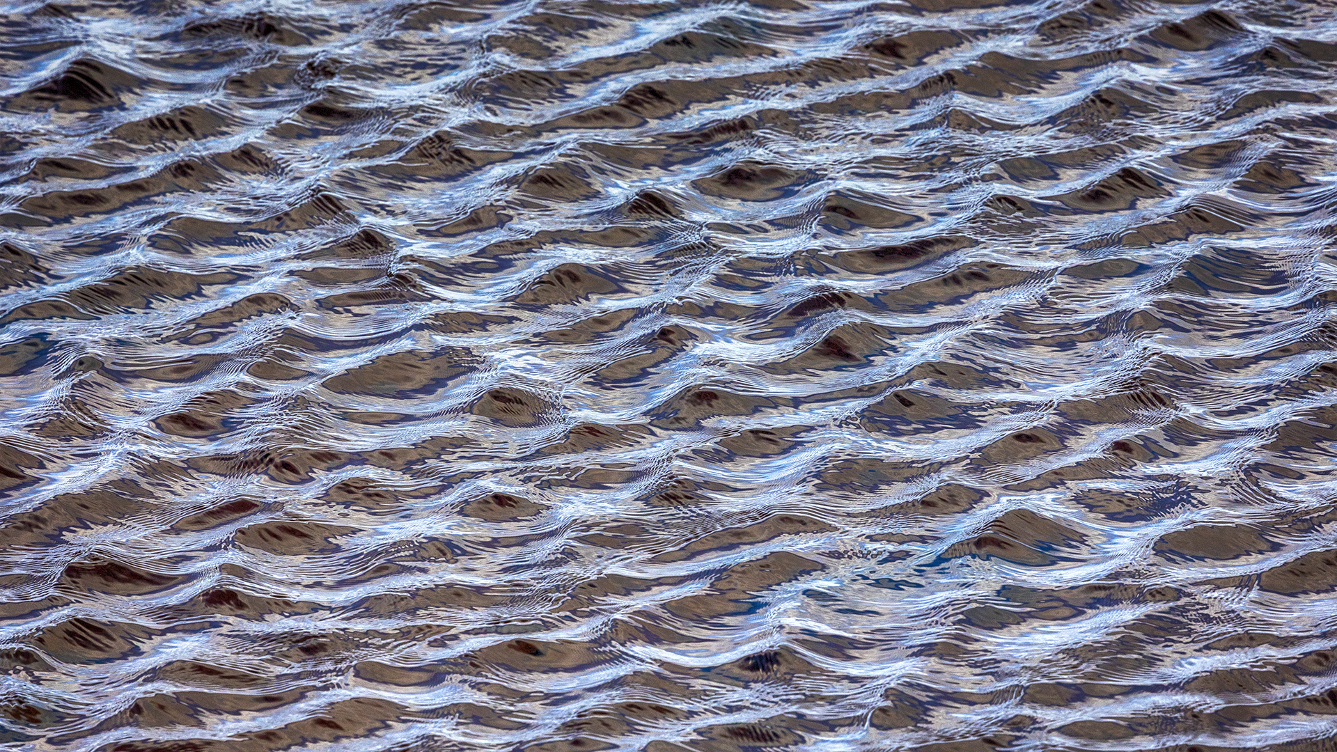 Platz 19 Abendbrise.jpg