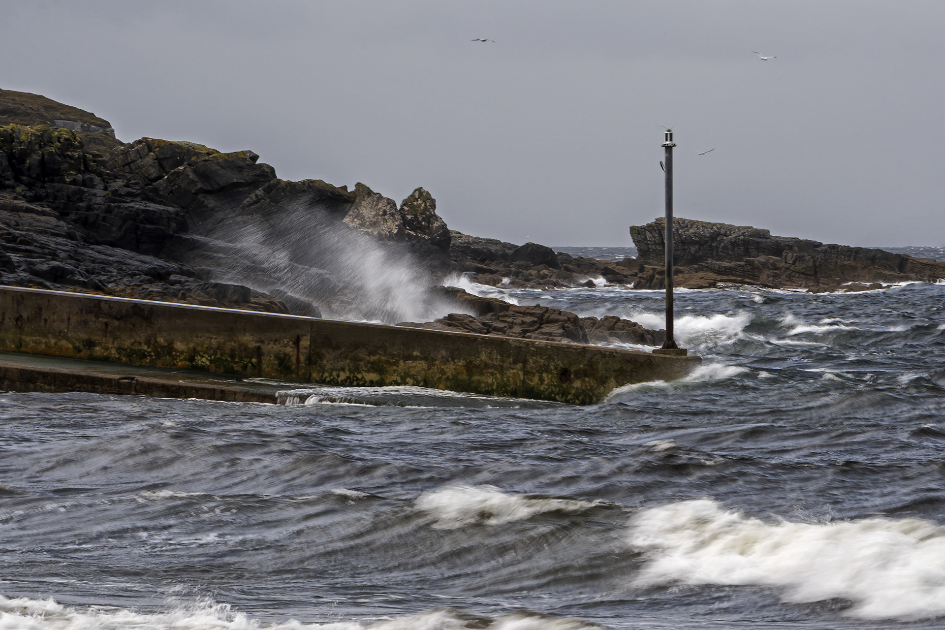 Platz 10 Gegen den Wind.jpg