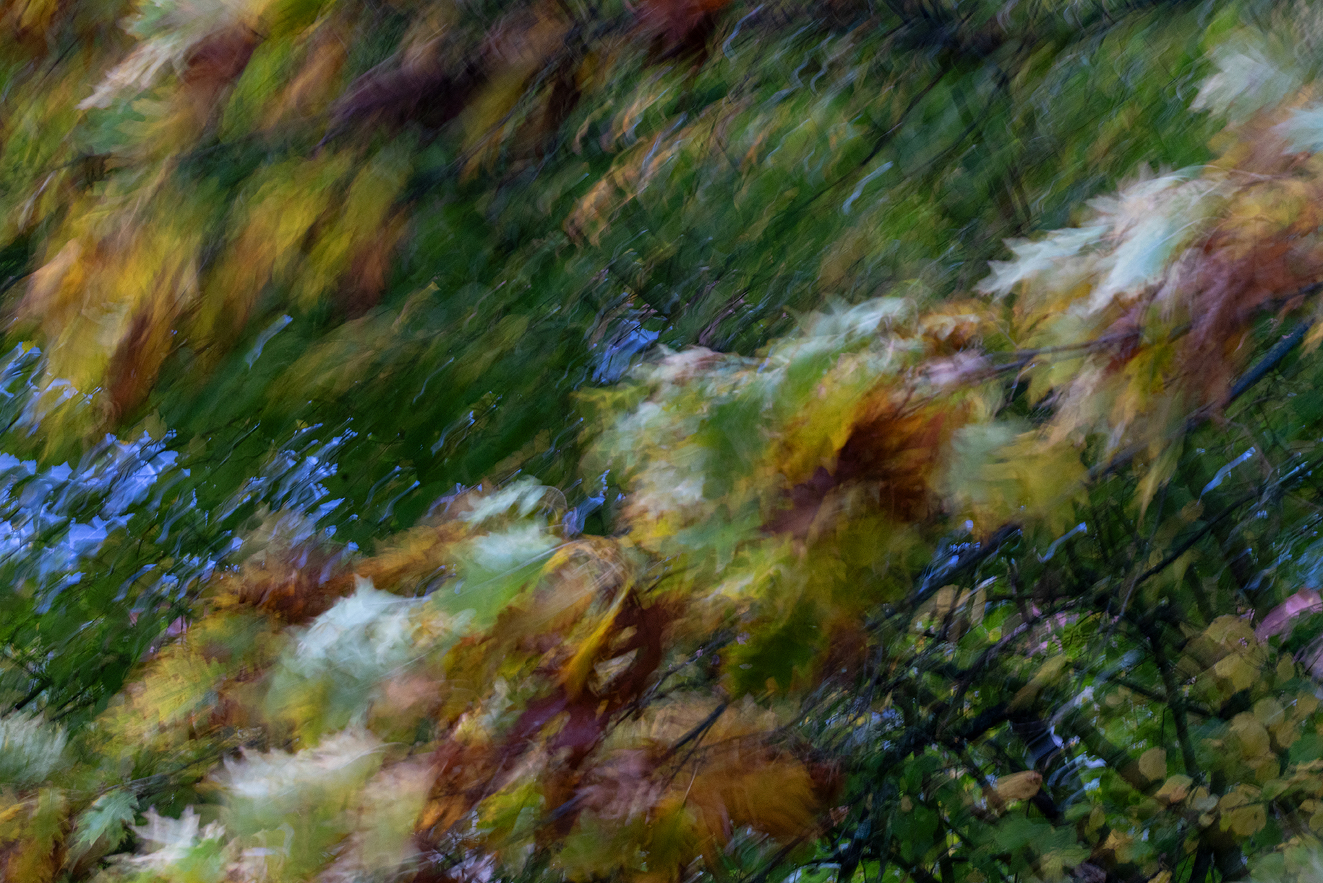 Platz 16 Stürmische Zeiten.jpg