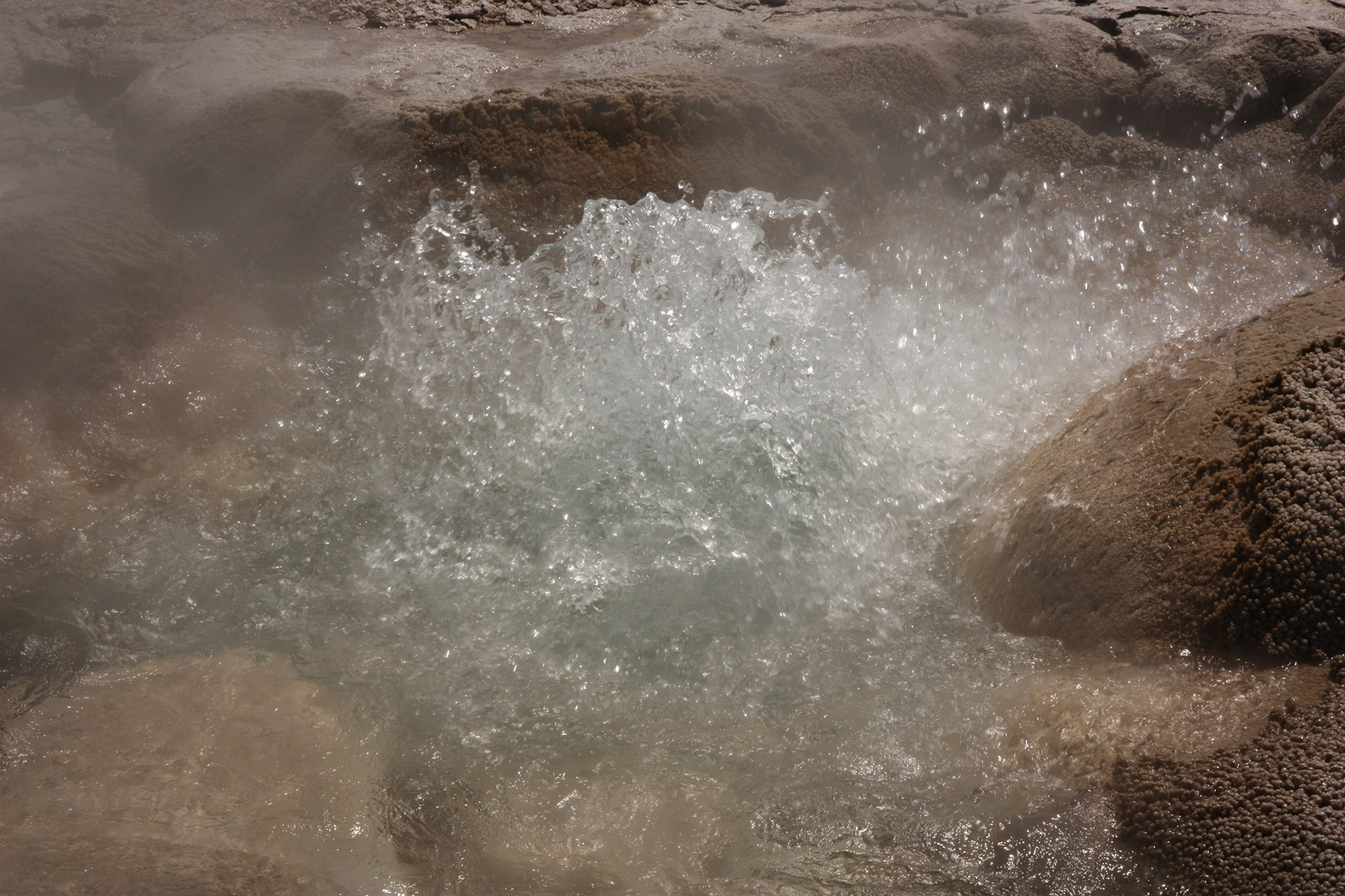 Platz 06 Aus_der_Erde.JPG