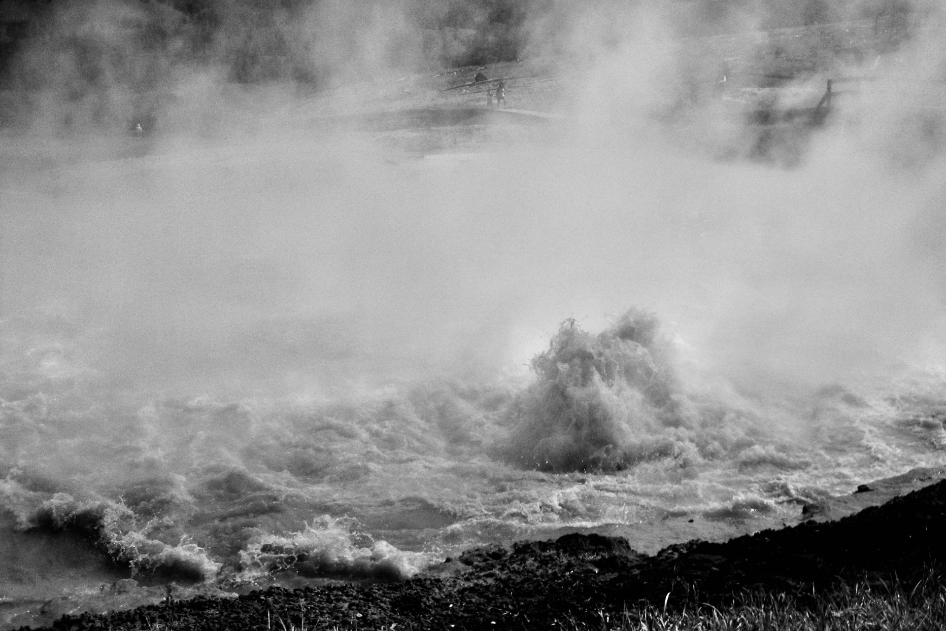 Platz 02 Yellowstone 2