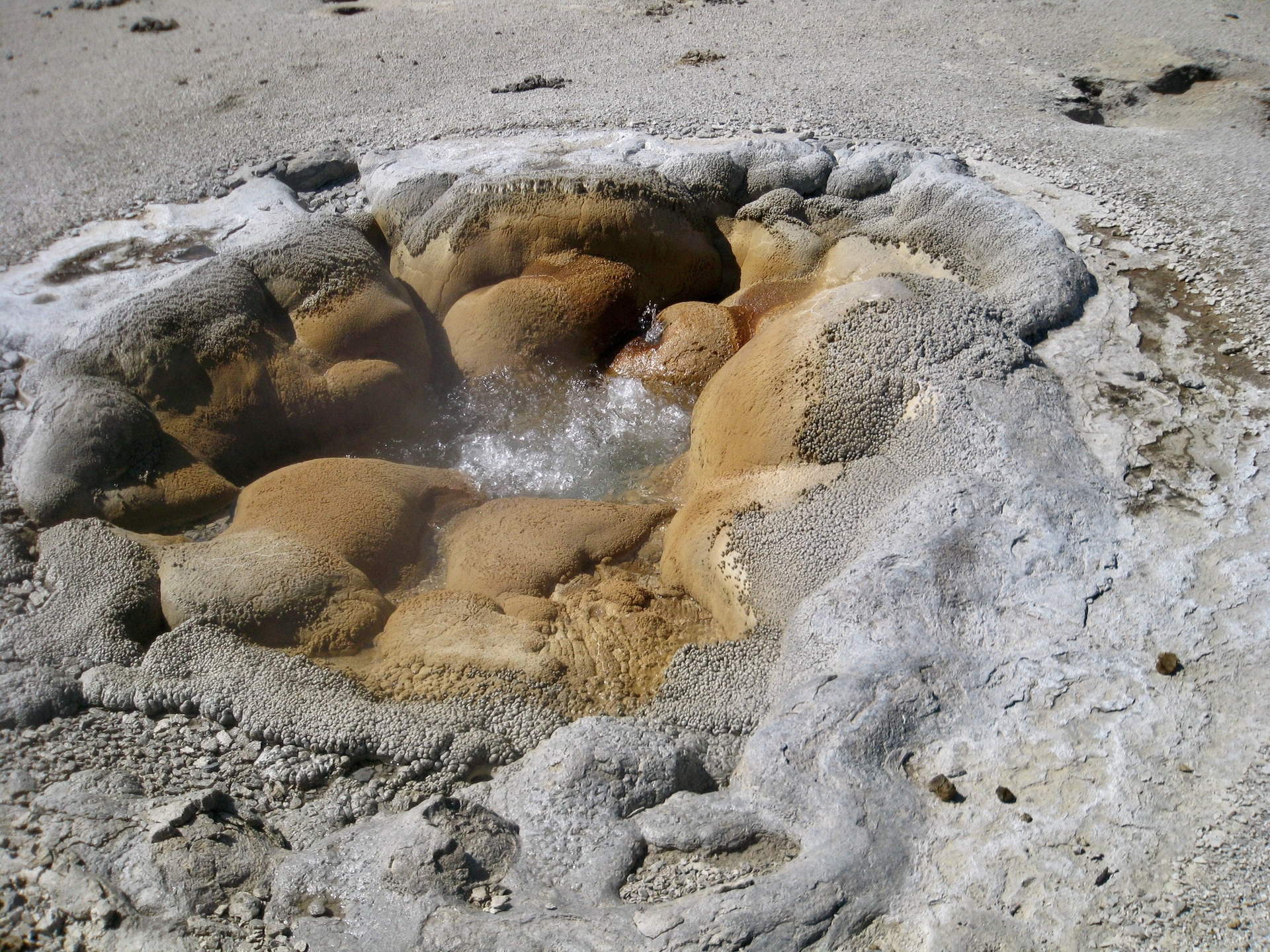 Platz 08 IMG_1384.jpg