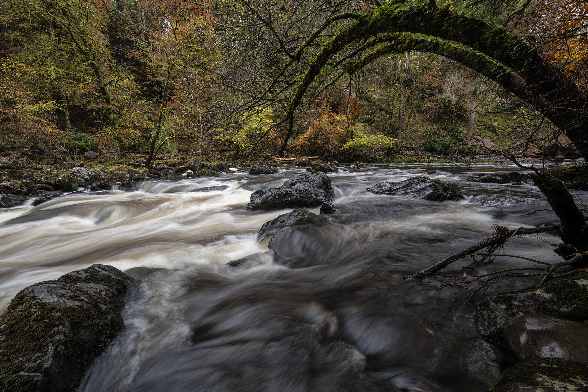Platz 06 _DSC0227_the_hermitage.jpg