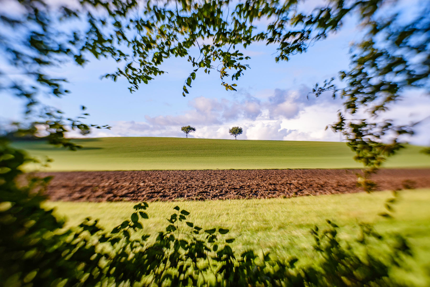 Platz 11 Ausblick.jpg