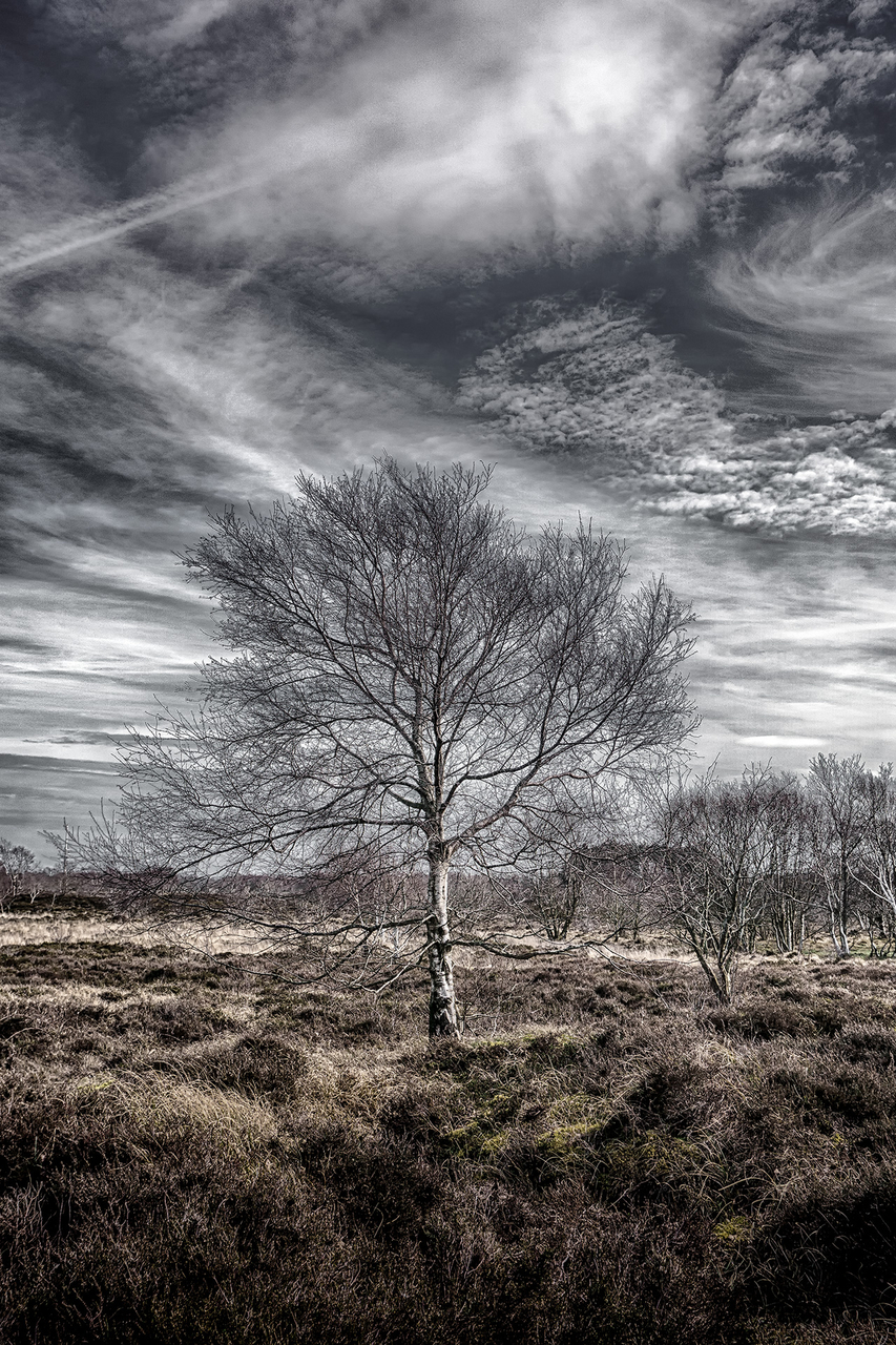 Platz 03 Die Ruhe vor dem Sturm