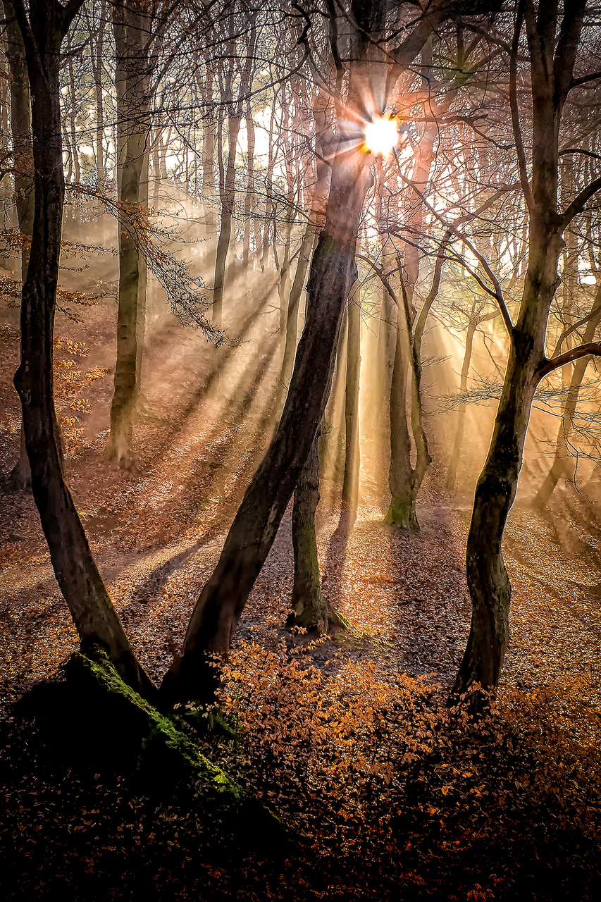 Platz 04 Lichtgestalten