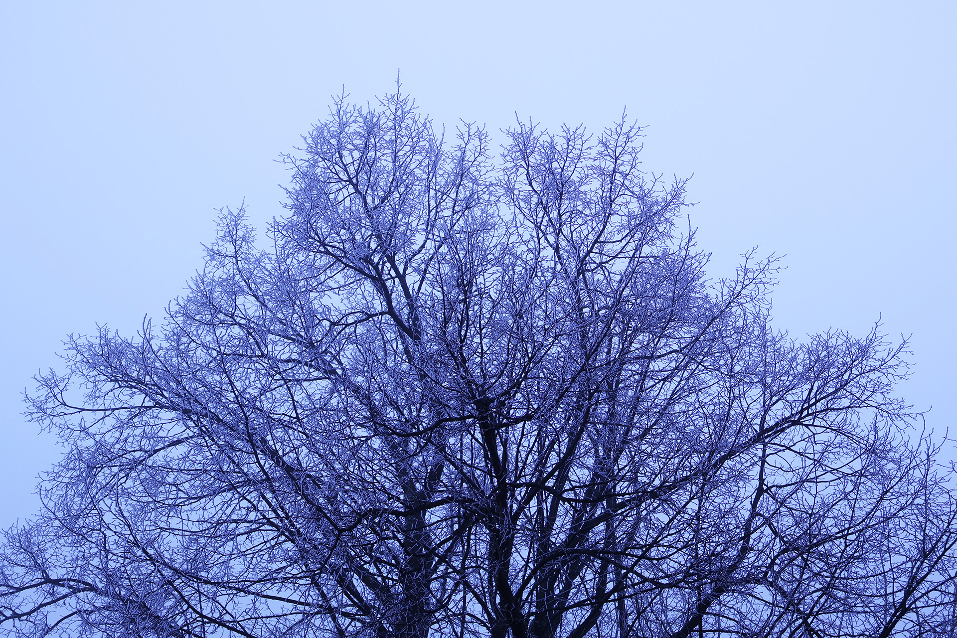 Platz 22 IMG_0135_V2.jpg