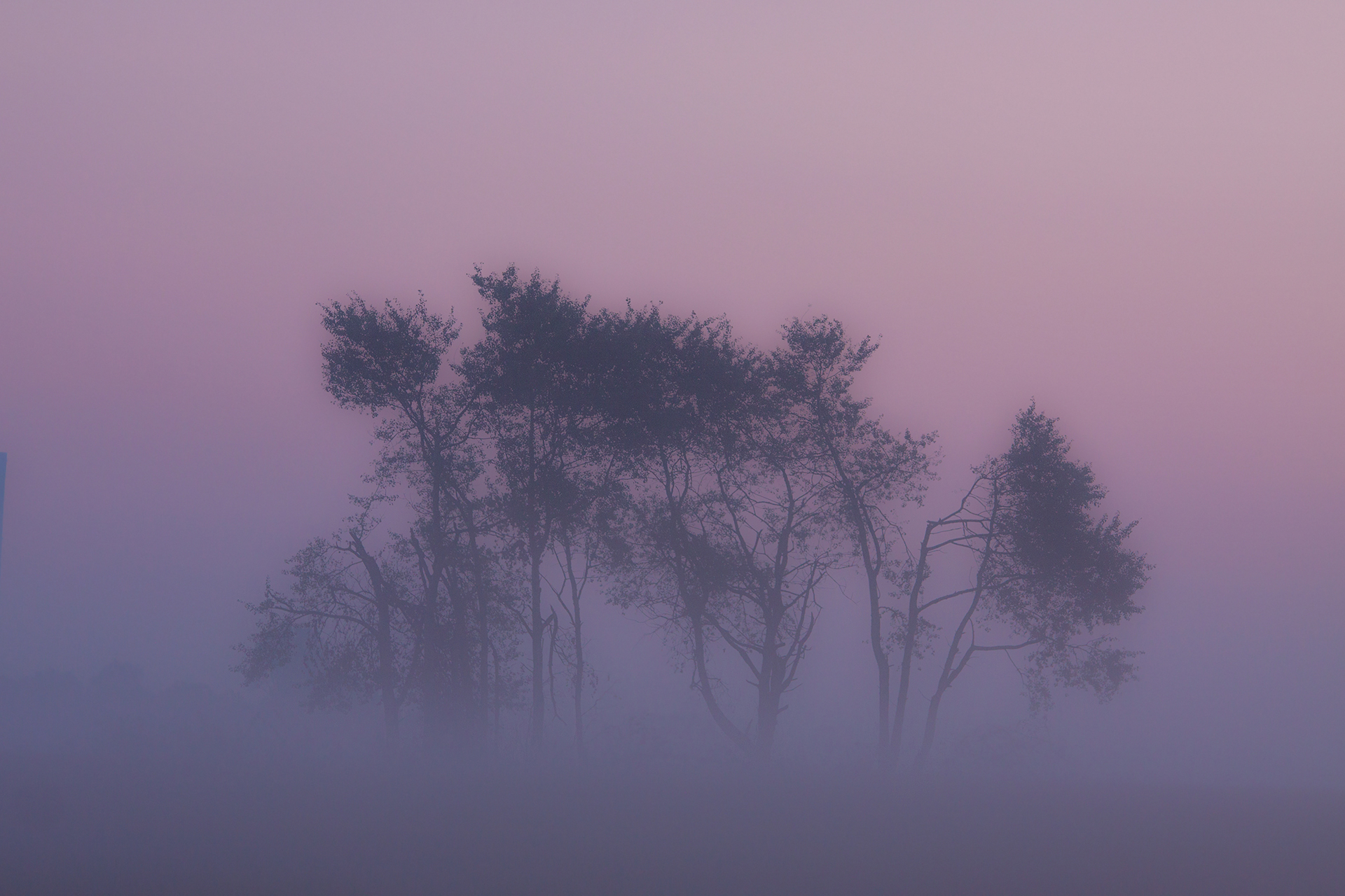 Platz 06 Nebelstimmung 96.jpg