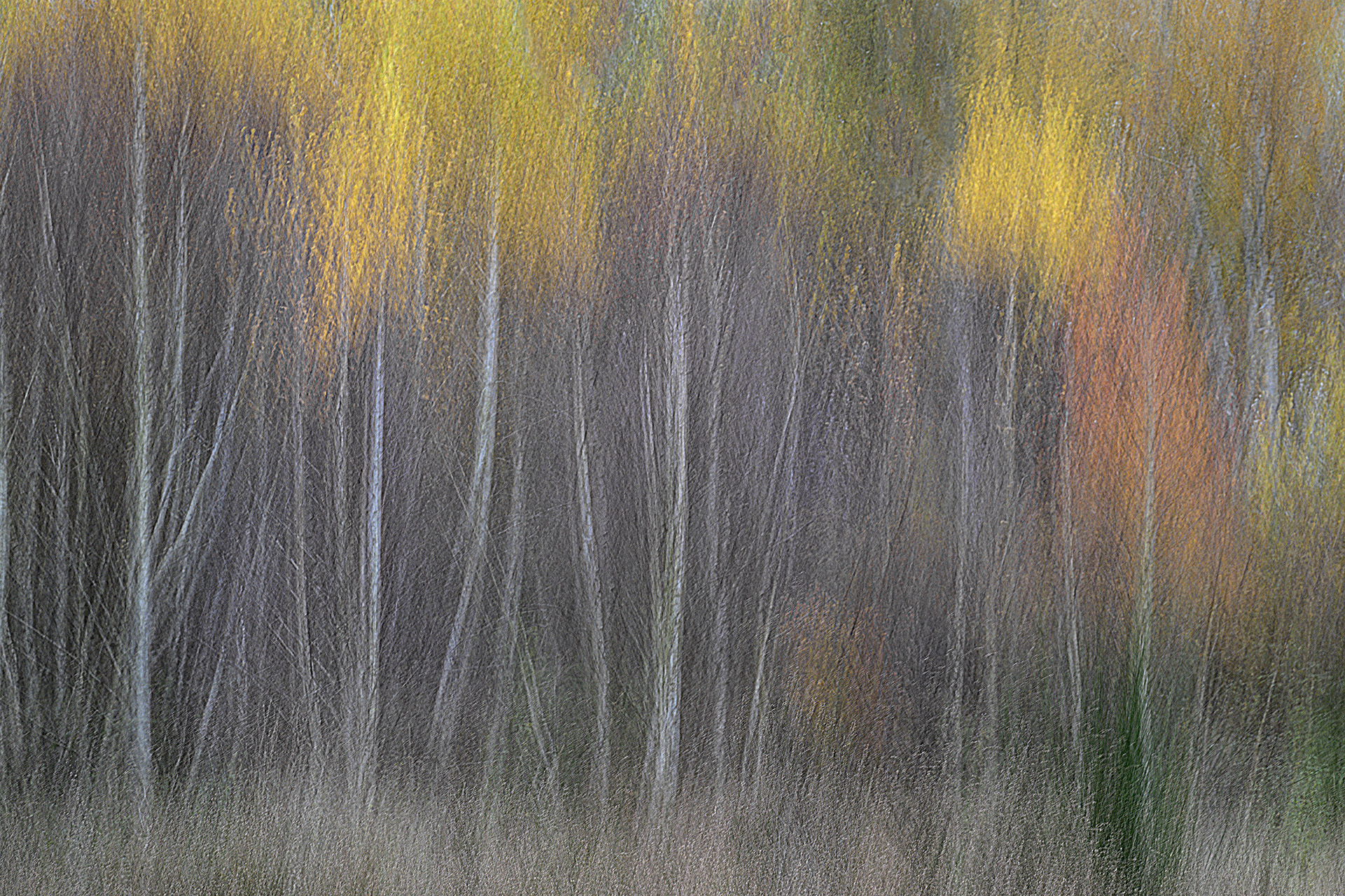 Platz 02 _DSC7205_wahner_heide_wiemers_loch.jpg