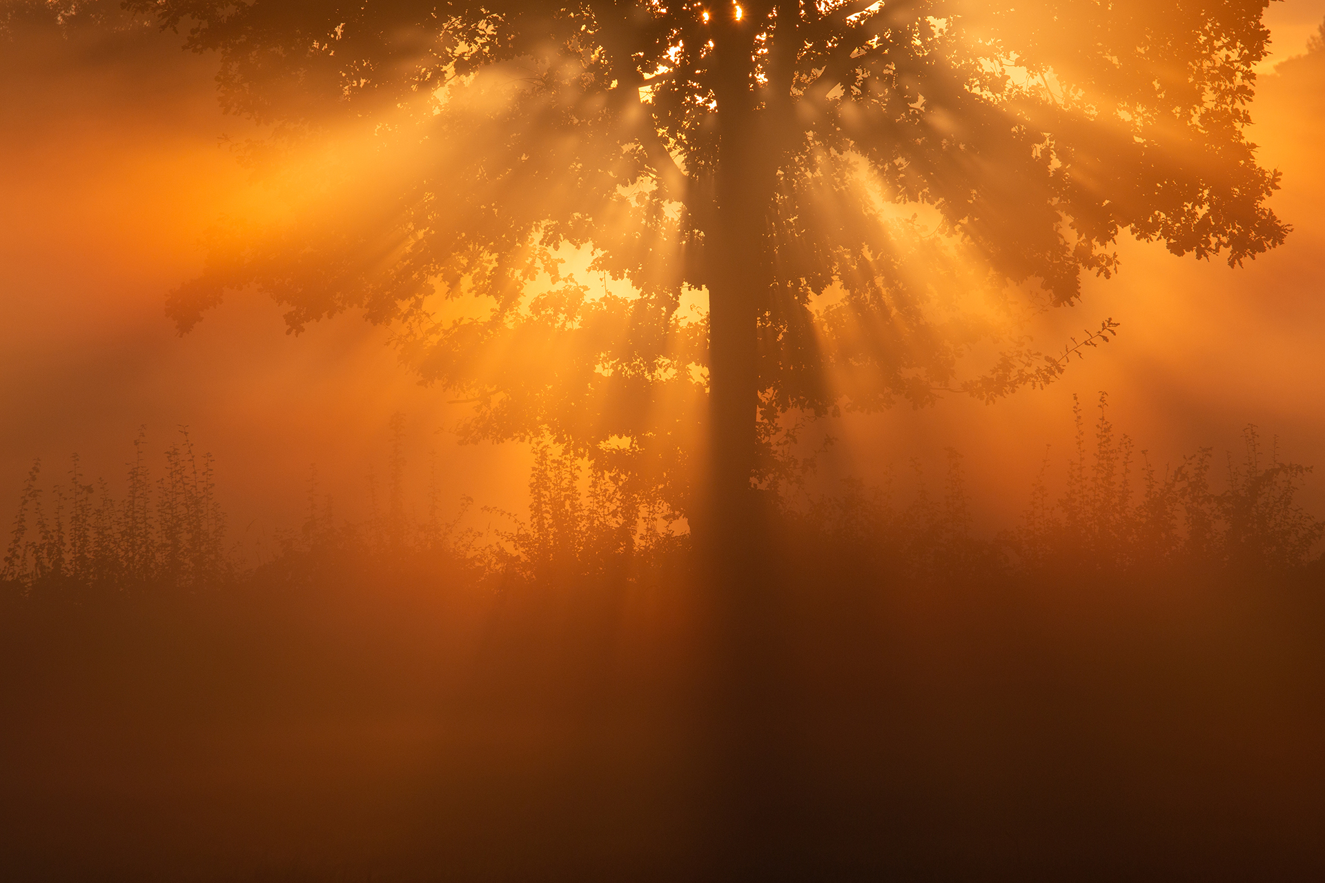 Platz 07 mit Lichtfächer 96.jpg