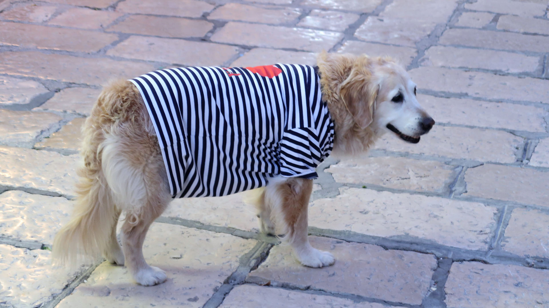 Platz 11 2018 HR 7-31.JPG