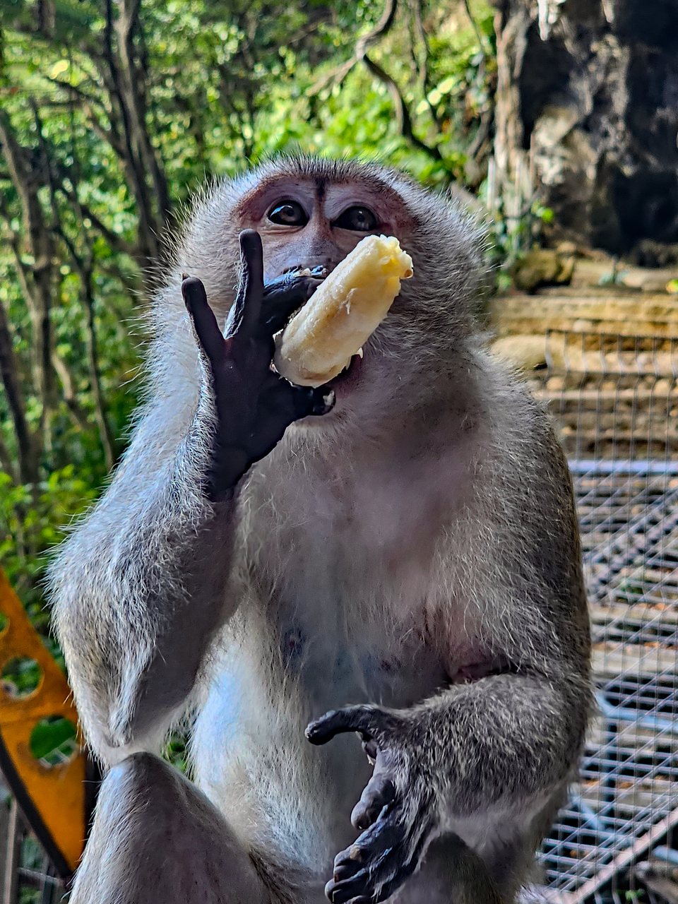 Platz 09 20240217_093802.jpg