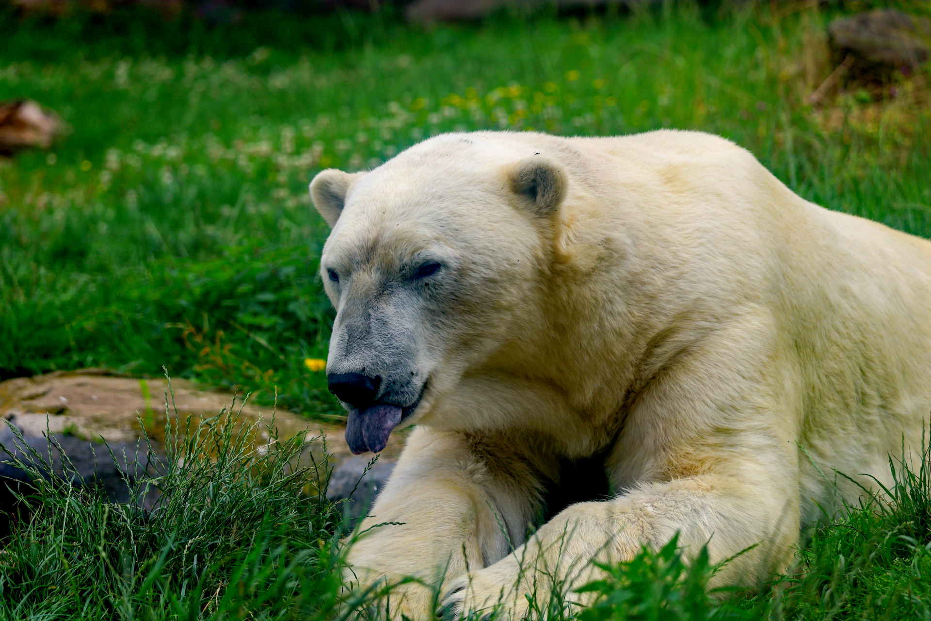 Platz 12 20240713135041_DY9A1788.JPG