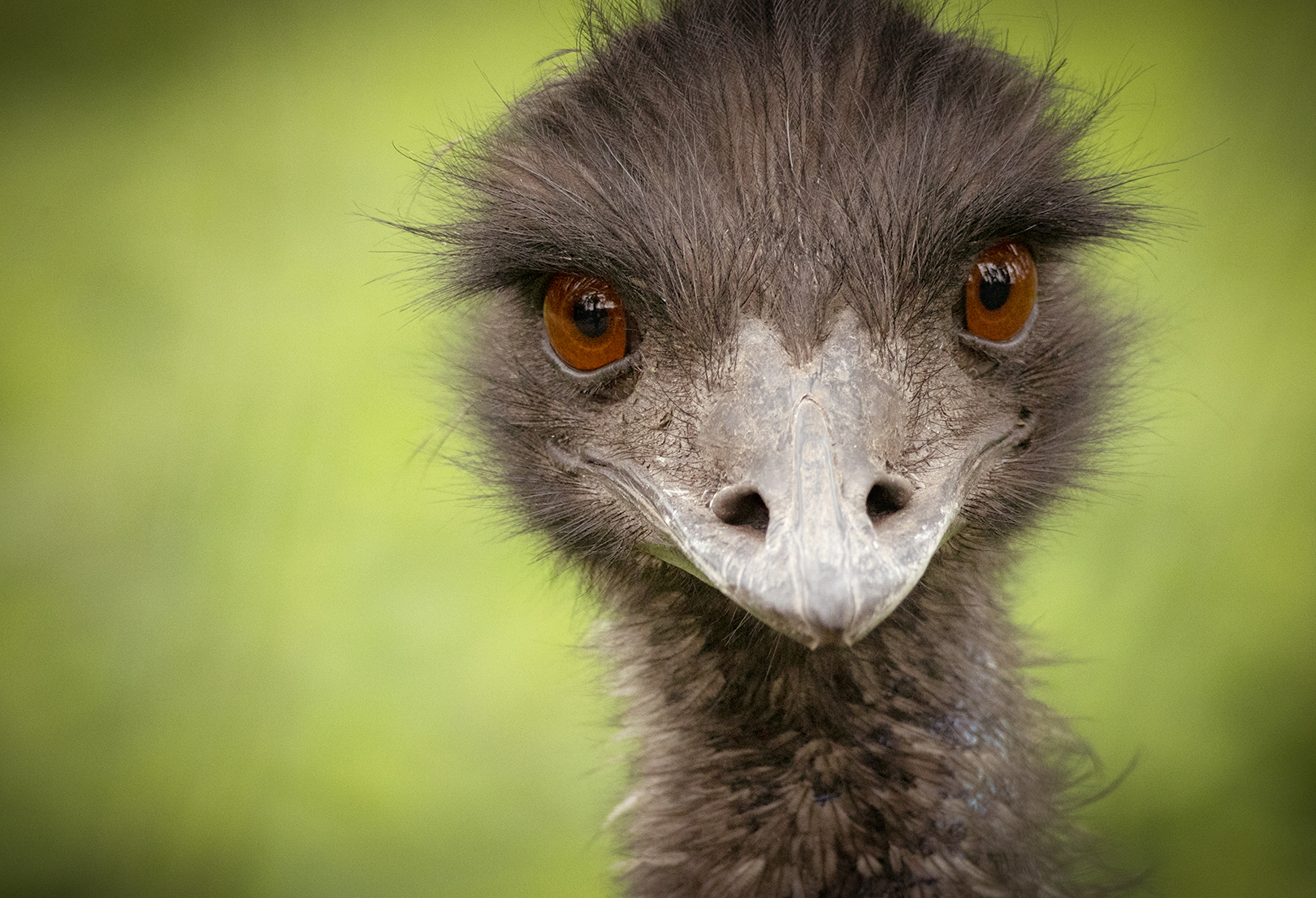 Platz 03 Iss wass ....jpg