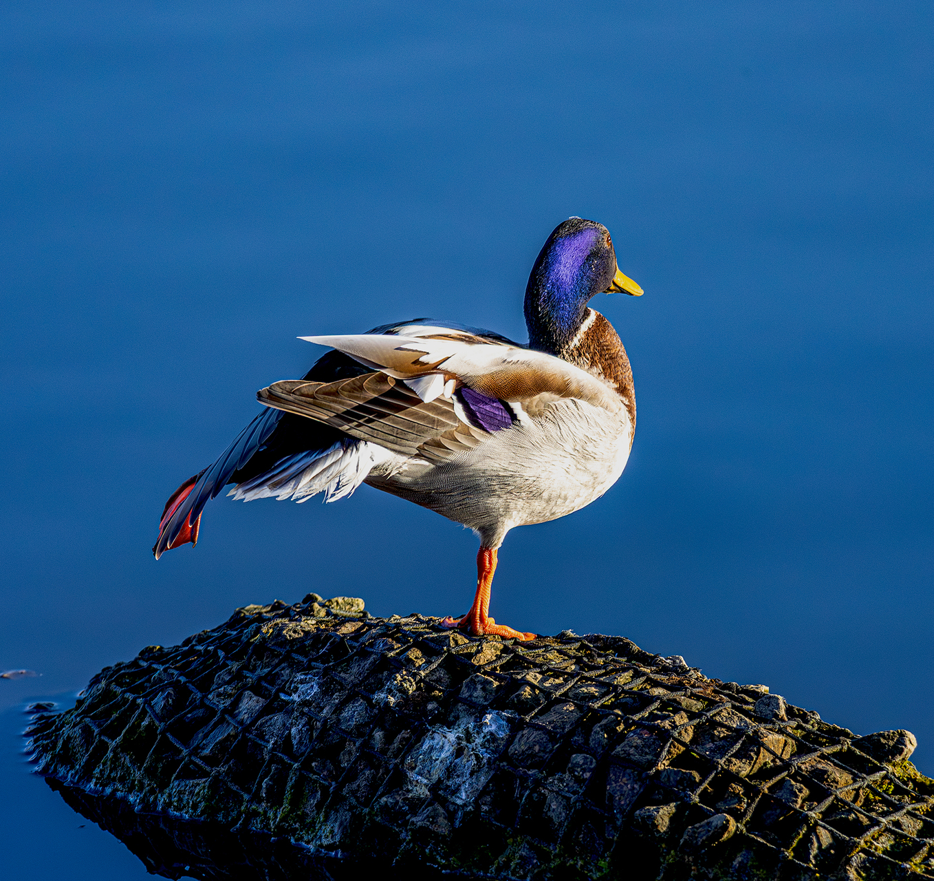 Platz 10 Morgentliches Stretching.jpg