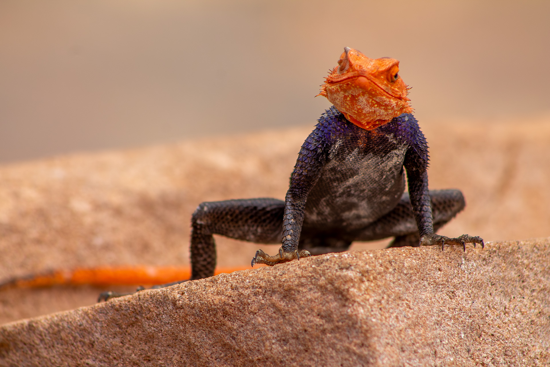 Platz 06 I'm still waiting