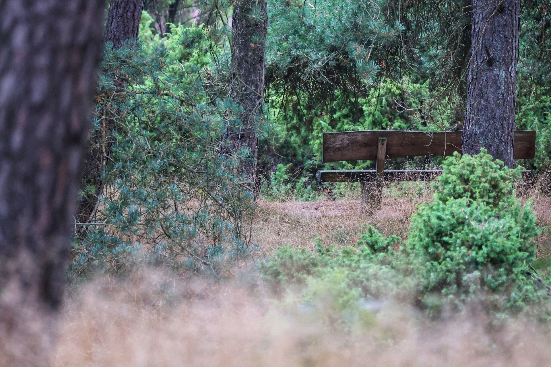 Platz 07 1000155947.jpg