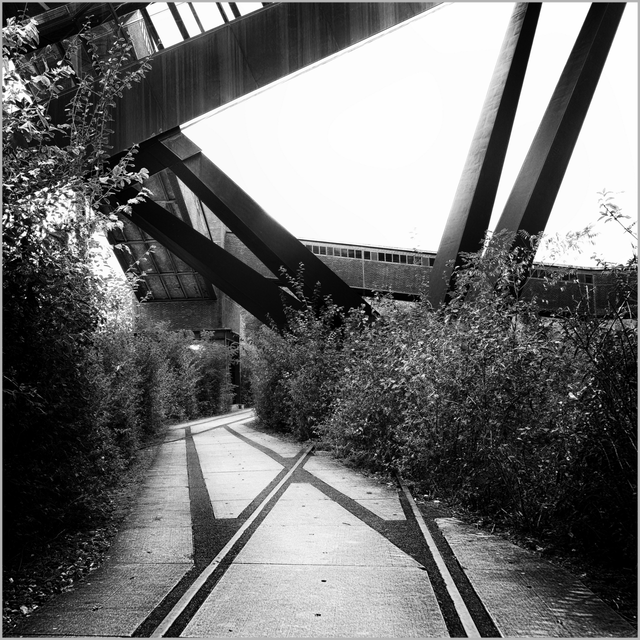 Platz 04 2023-10. Essen Zollverein.
