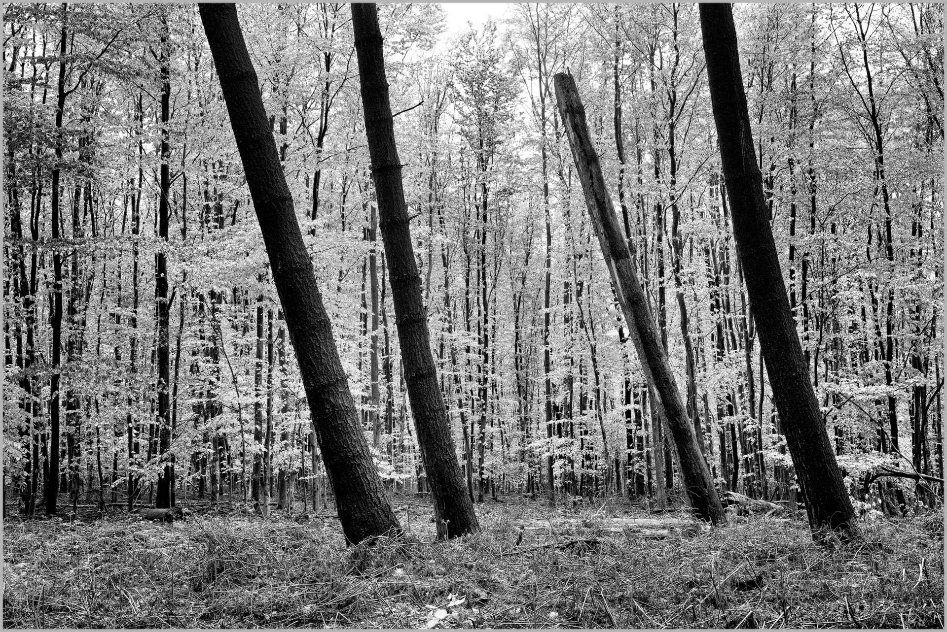 Platz 12 2025-04. Wetter.