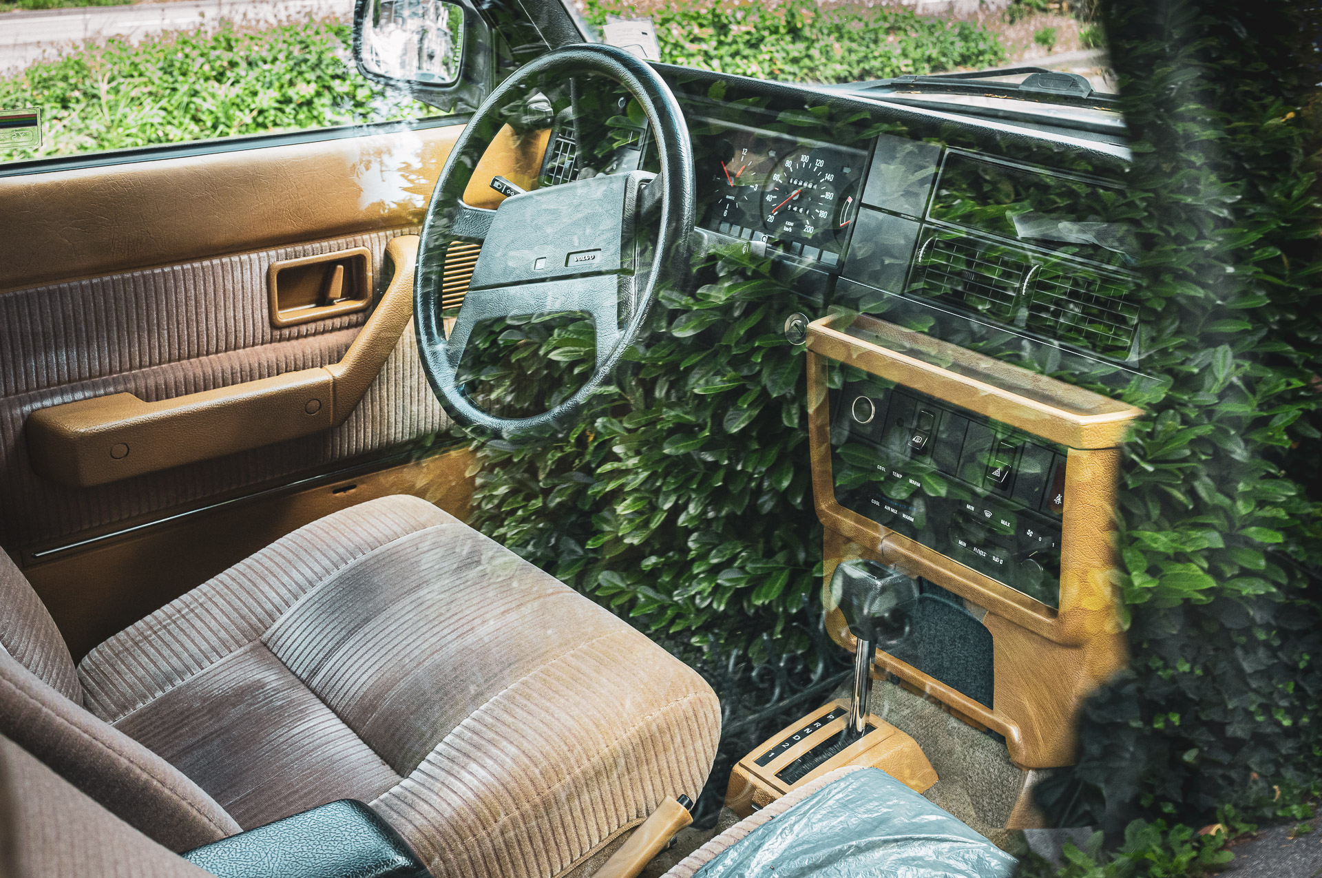 Platz 05 Online-1.jpg