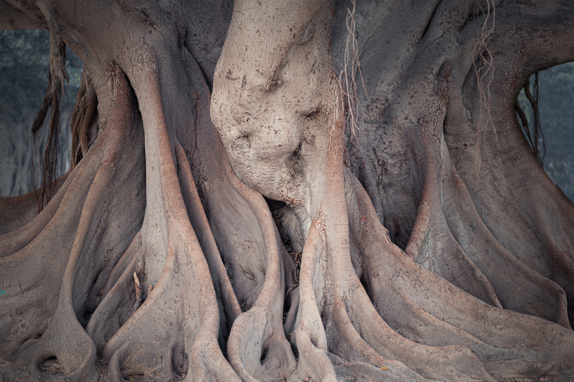 Platz 08 Verborgene  Gesichter-2.jpg