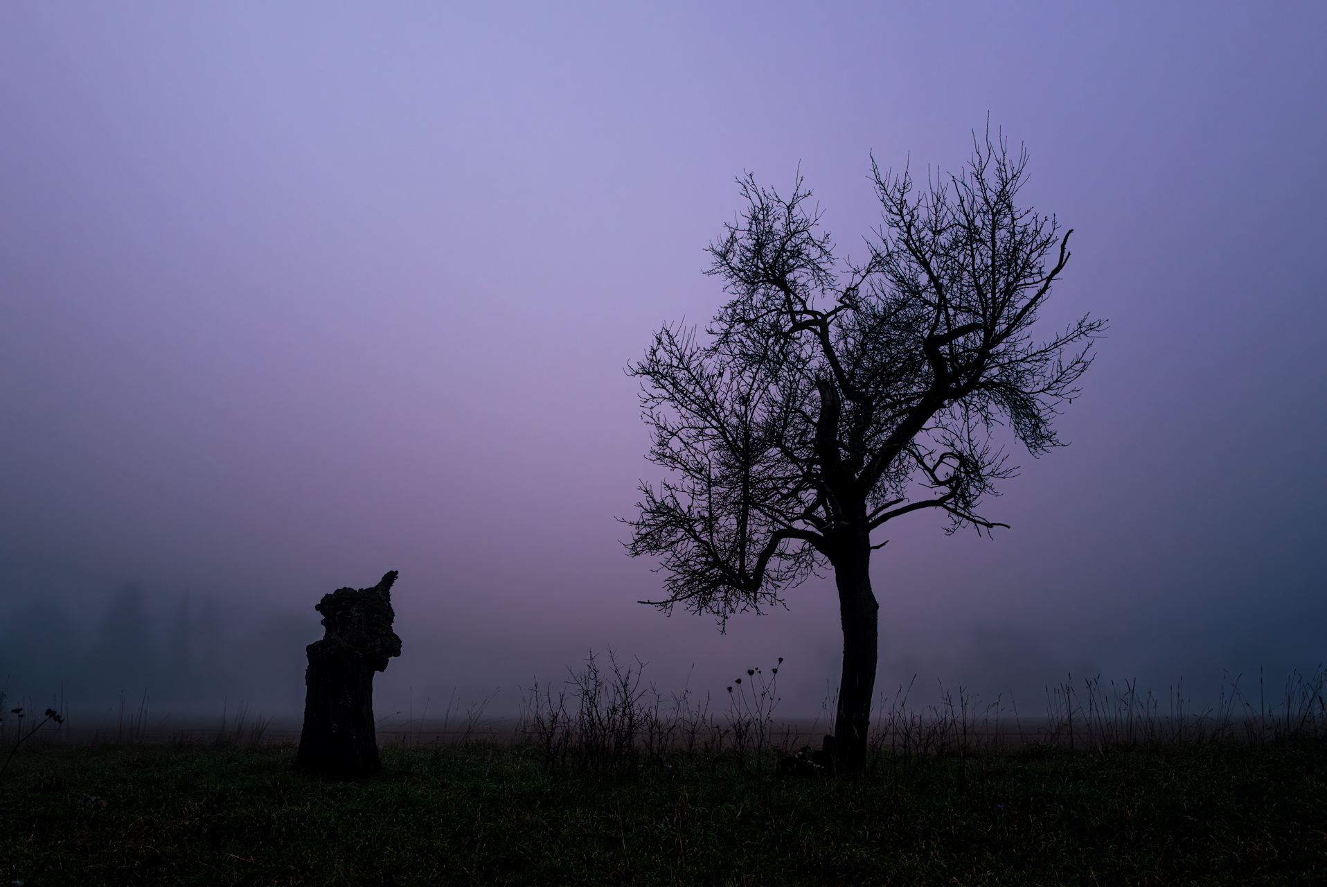 Platz 05 Verborgene  Gesichter.jpg