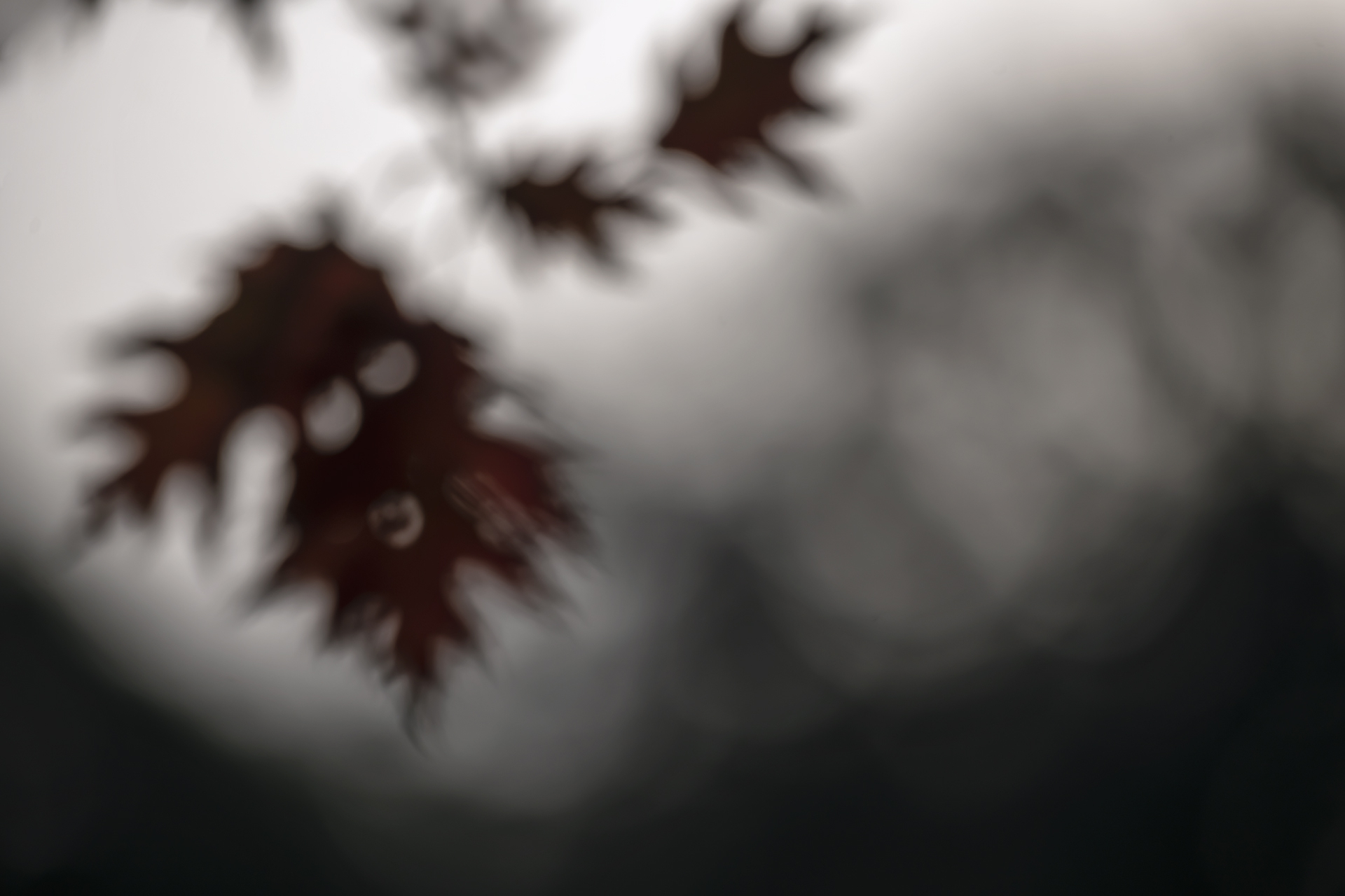 Oktober 2025 - Verborgene Gesichter