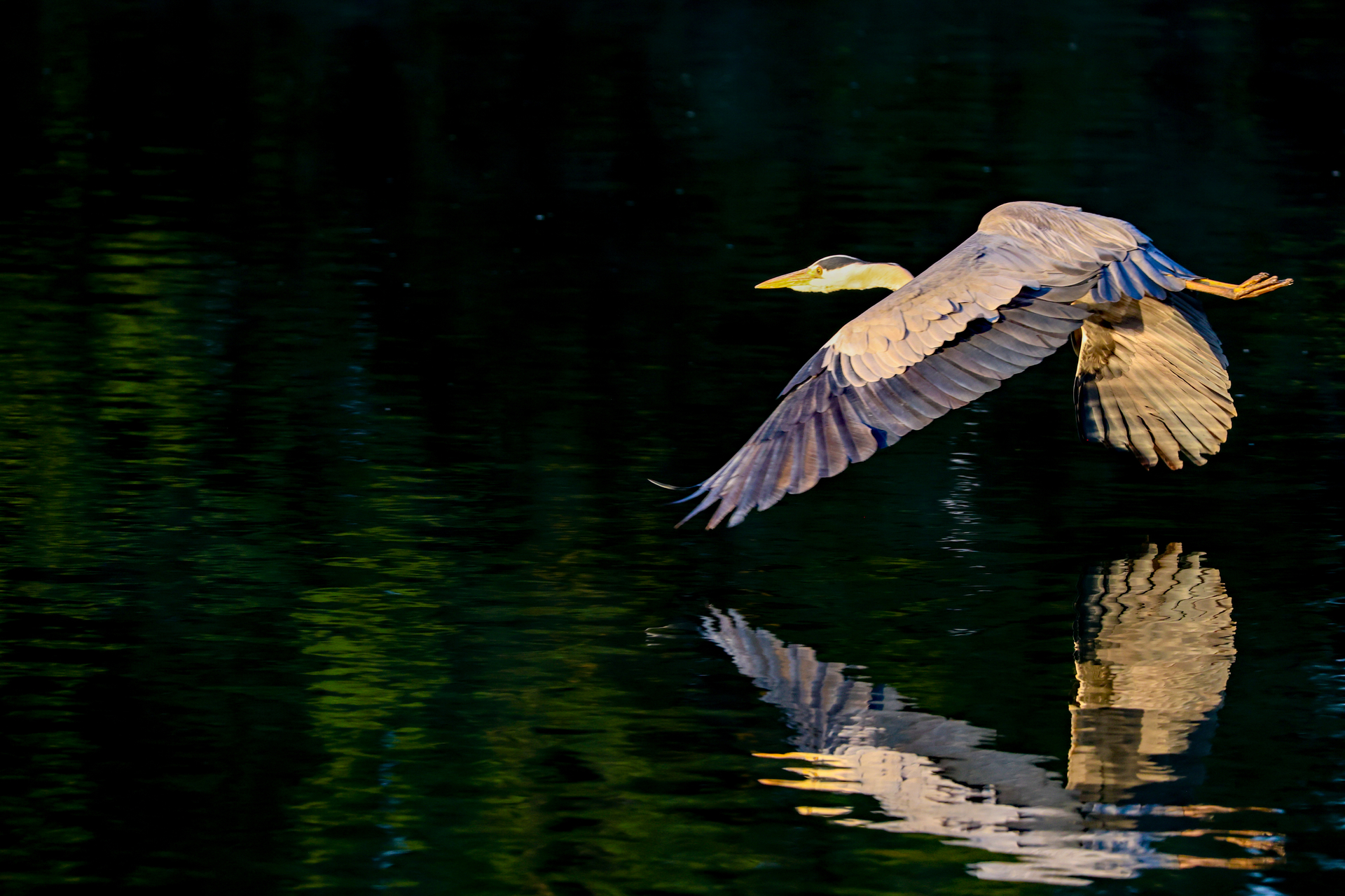 Platz 08 DY9A3820.JPG