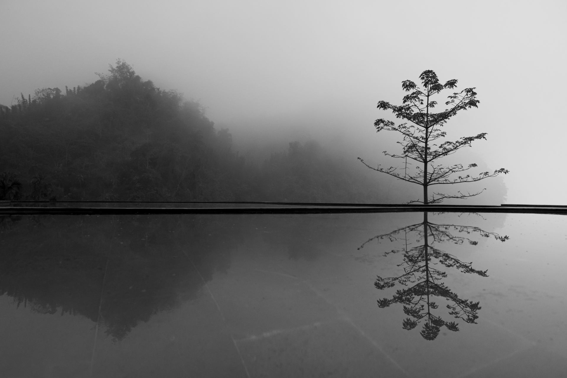 Platz 02 Der Nebelberg