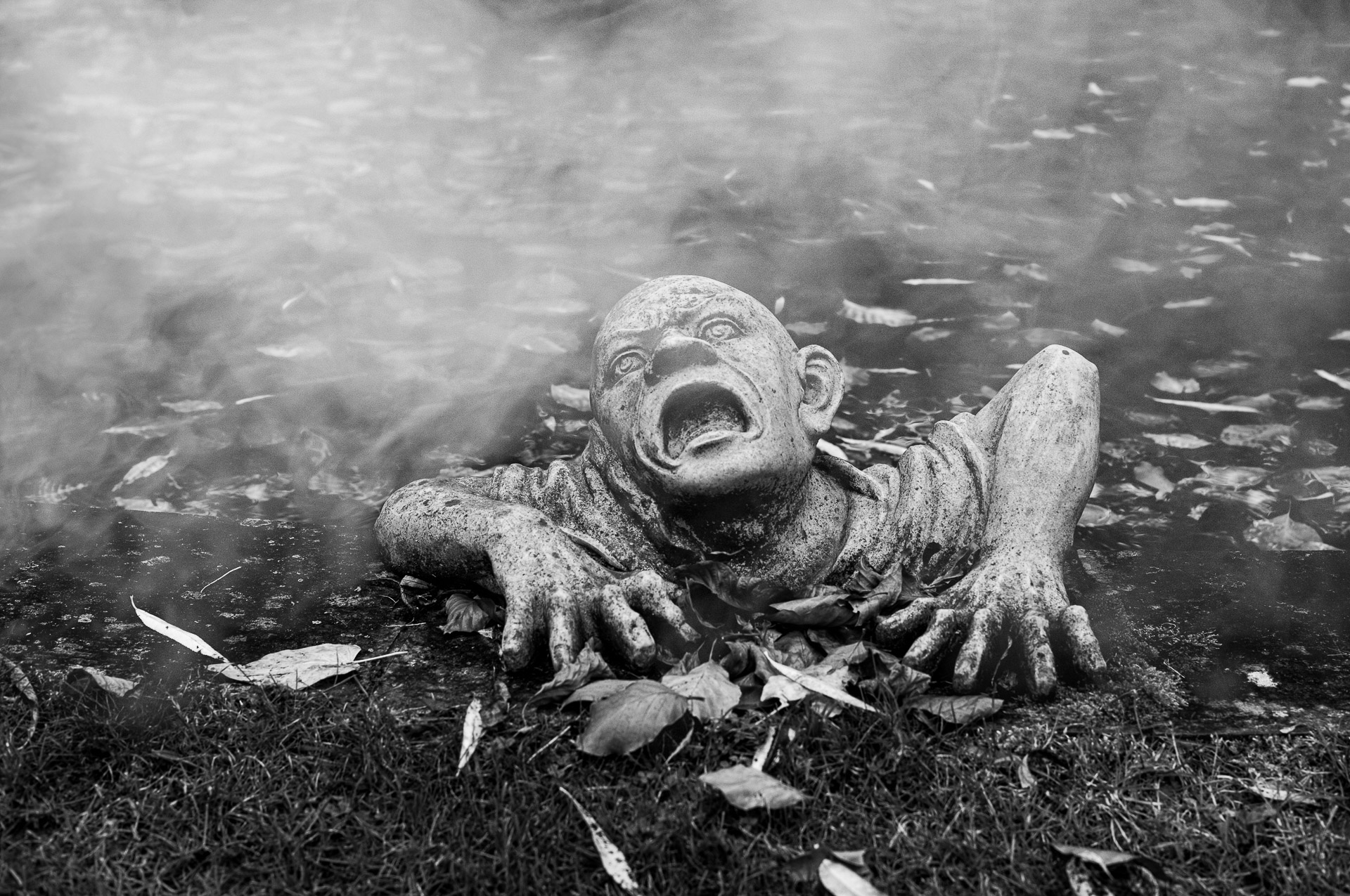 Platz 11 Nebel Onlinewettbewerb 1