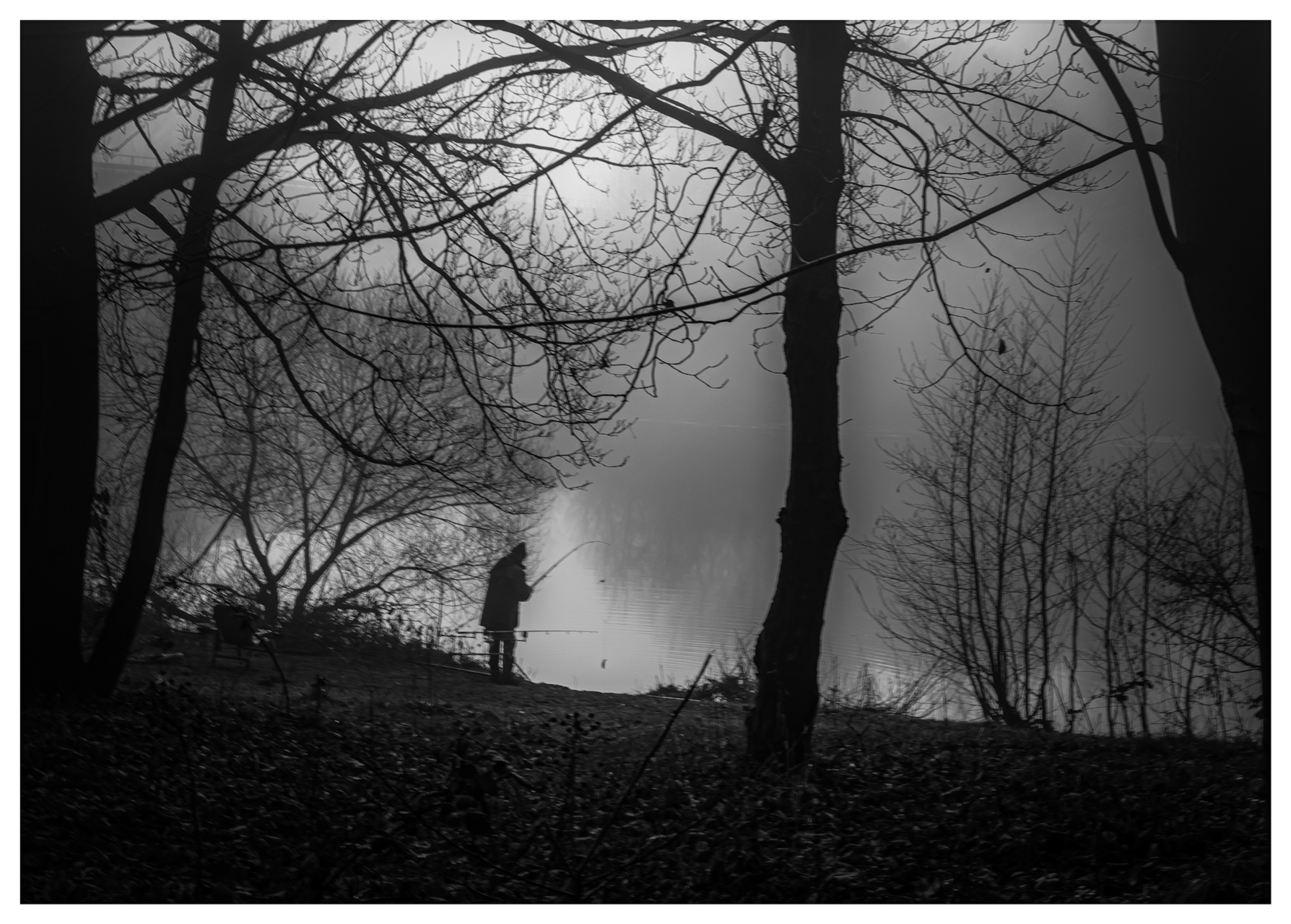 Platz 15 Nebel Bild II.jpg