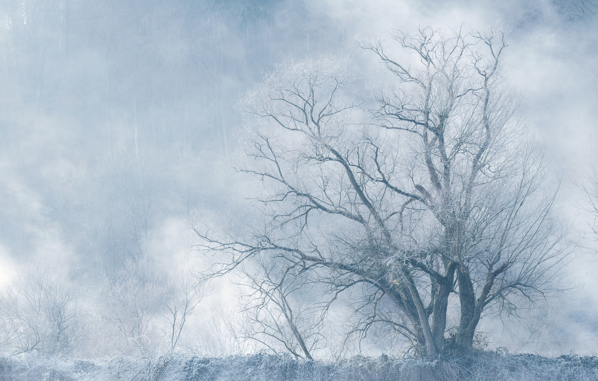 Platz 05 Nebel_Ruhr.jpg