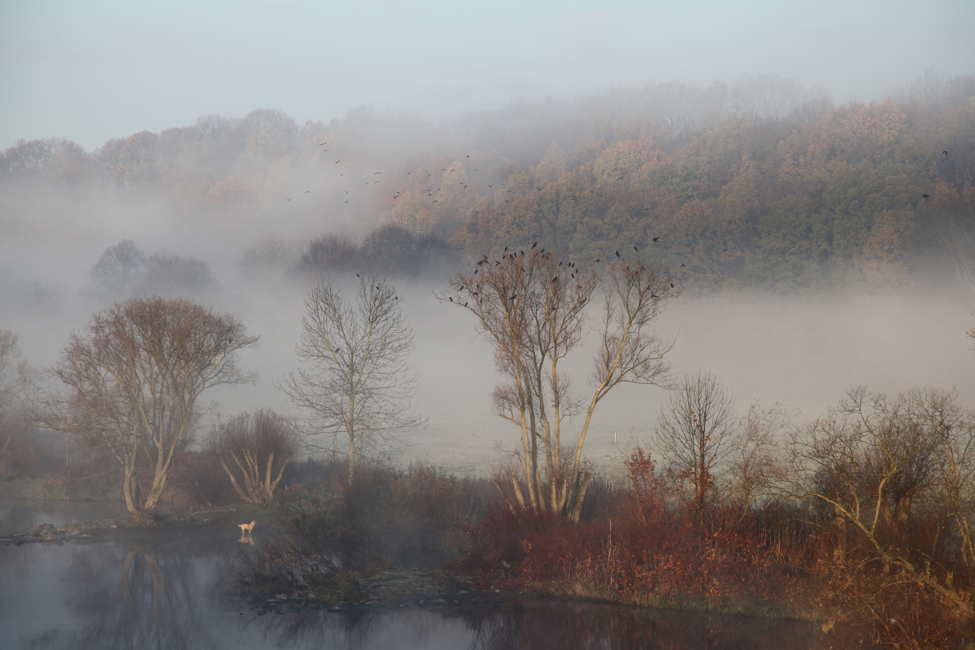 Platz 10 Unruhe an der Ruhr.JPG