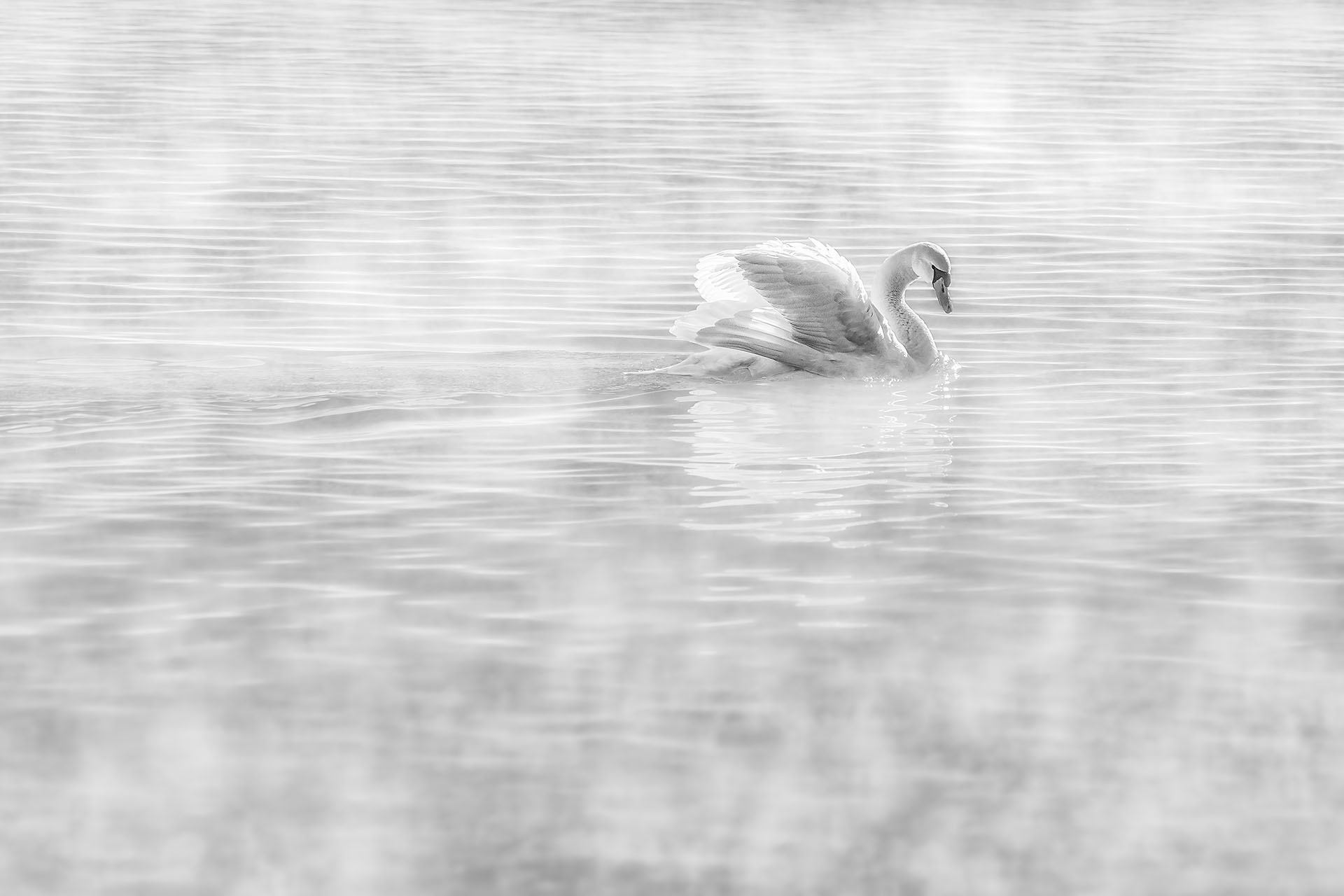 Platz 05 Verhuellte Schoene.jpg