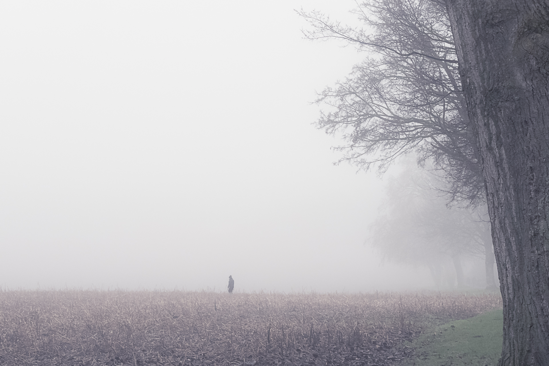 Platz 14 Werner Feld-2.jpg