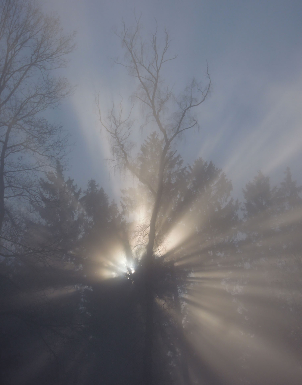 Platz 09 sun sun sun -  here it comes.JPG