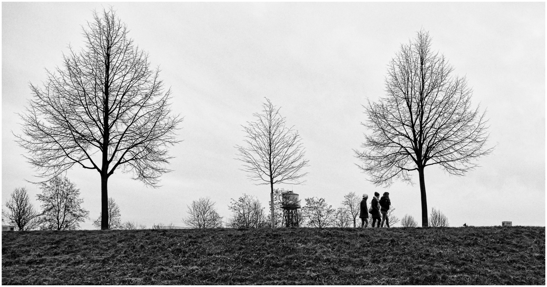 1 - Winterspaziergang - 2018 Westpark Bochum.jpg