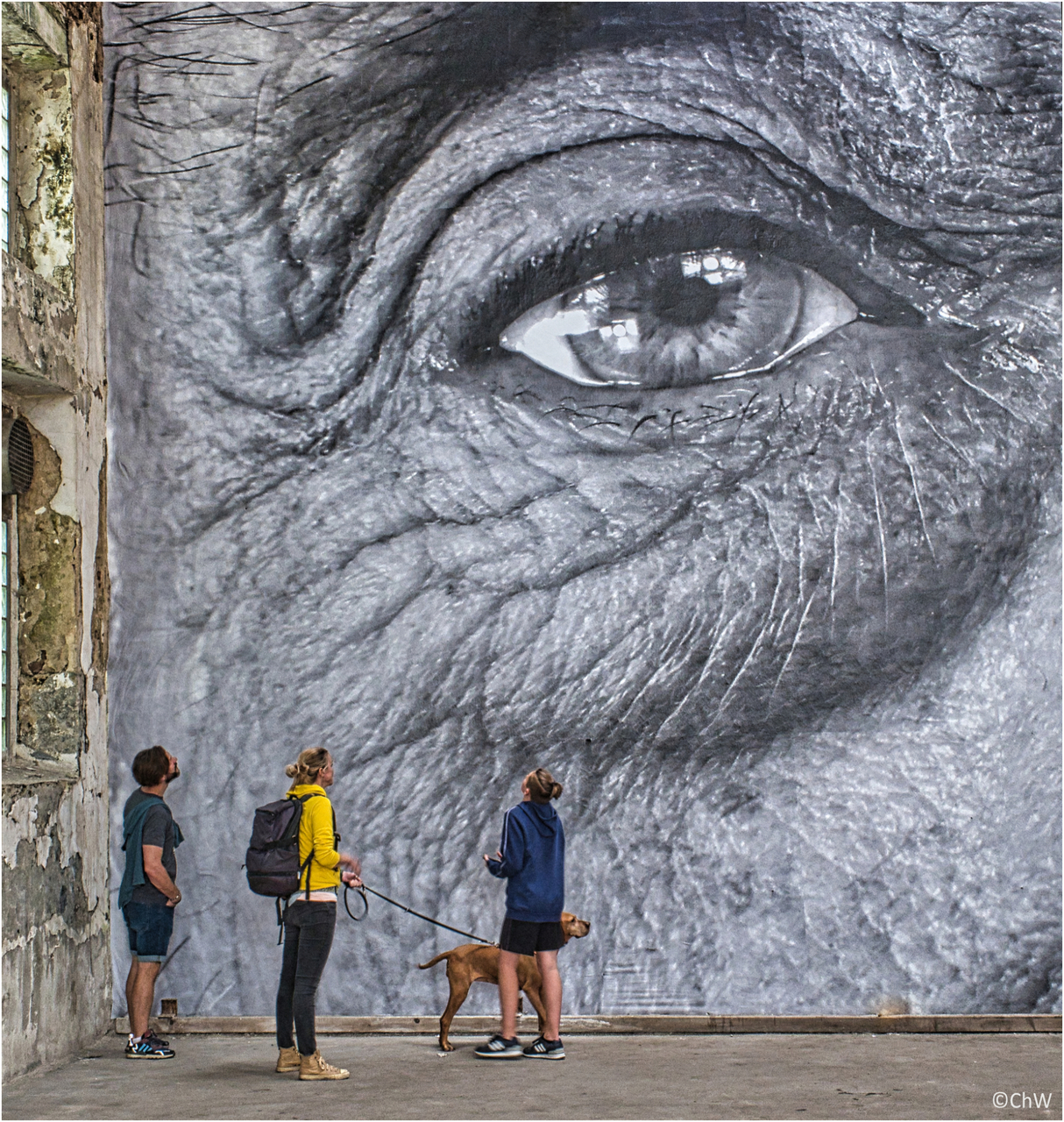 19 - Zechengeschichten - 2022 Zeche Westerholt.jpg