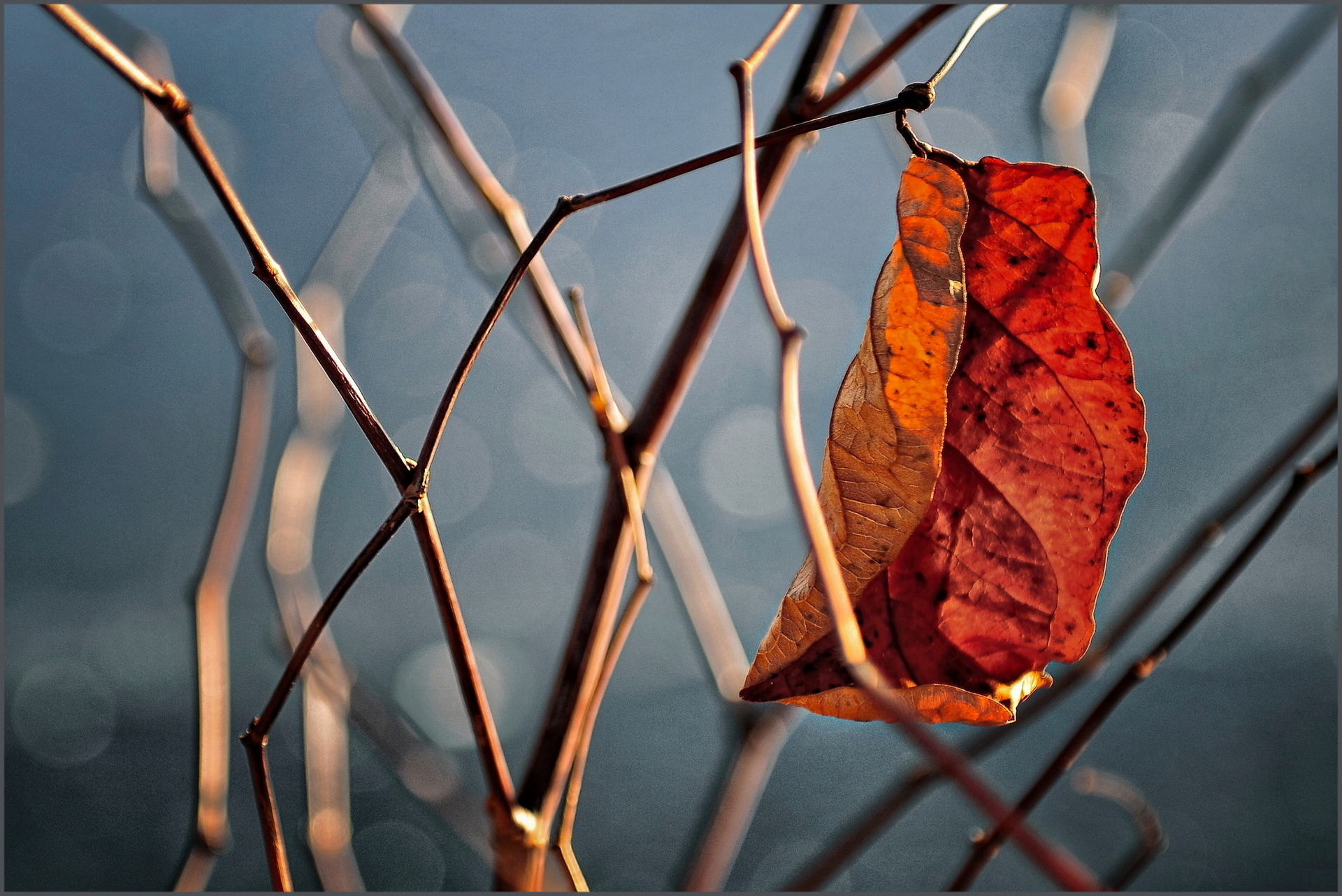 Platz 09 Abschied (2009-01. Wetter)