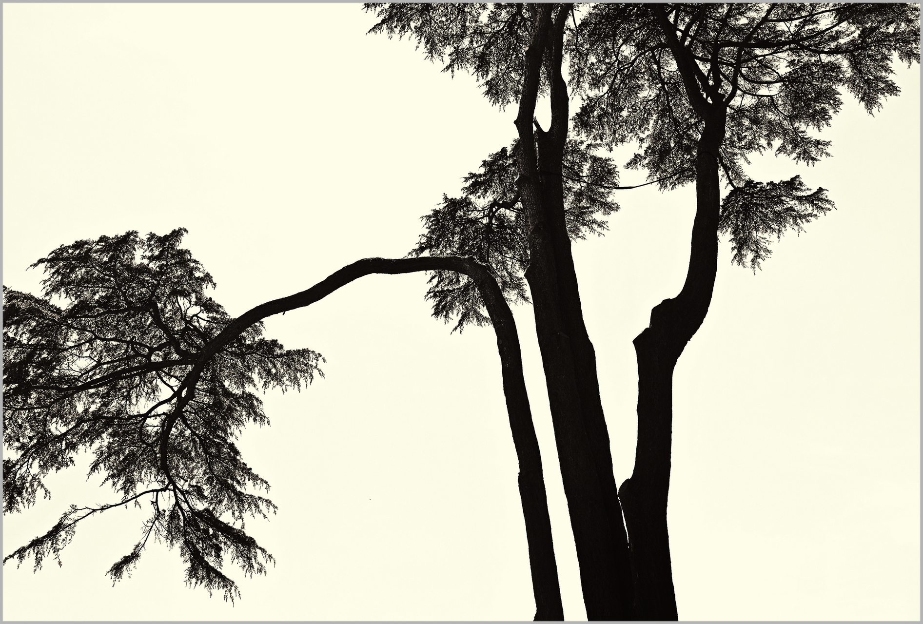 Bleib' zuversichtlich (2022-06. Porto)