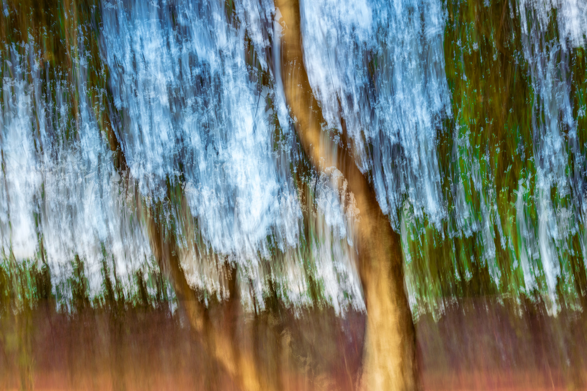 2024-07-31 Westruper Heide (1 von 1).jpg